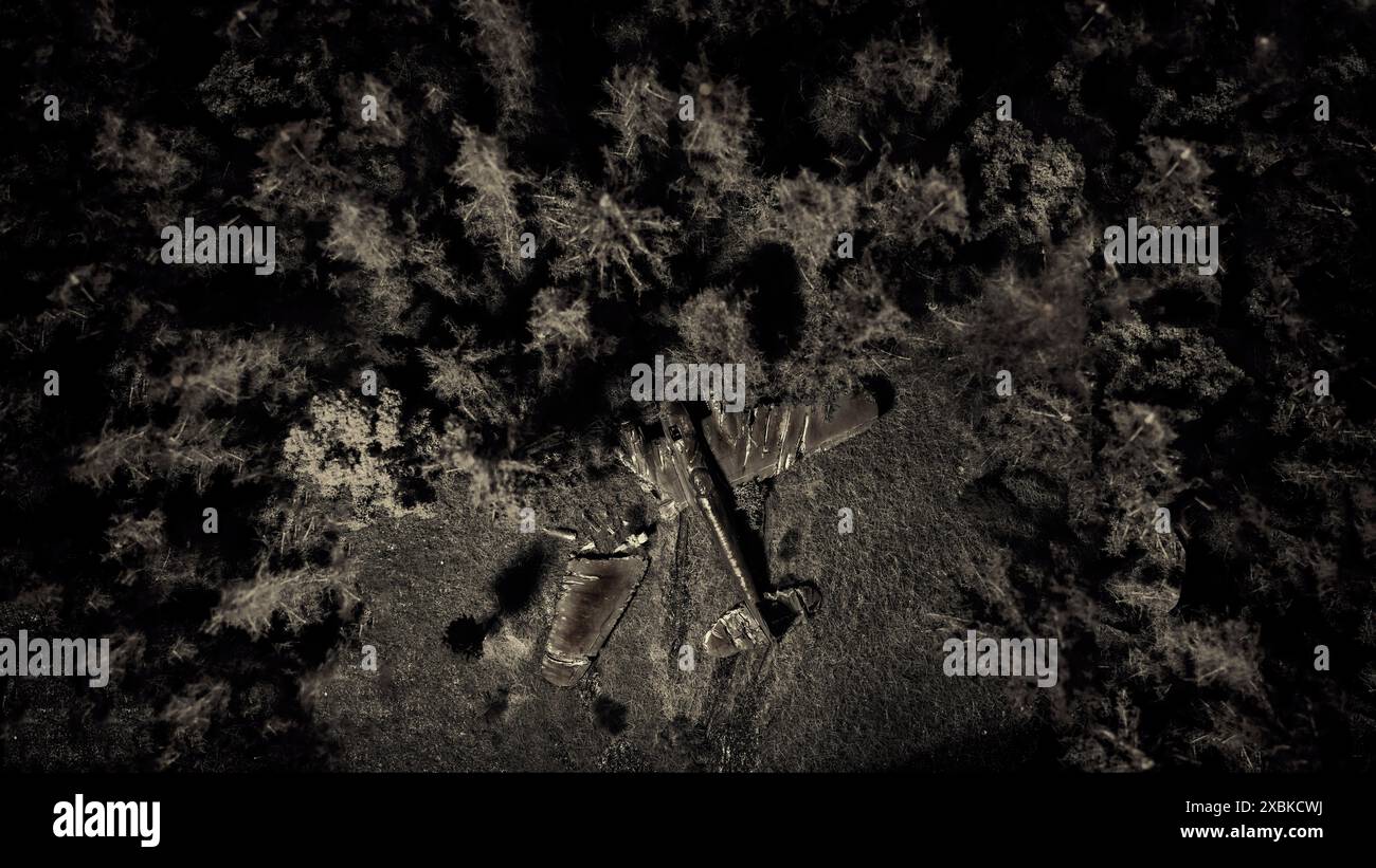 Si è schiantato un aereo militare nel mezzo di una foresta Foto Stock