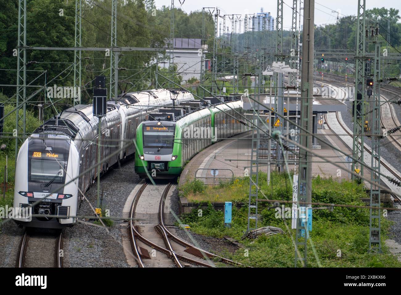 RE6, Regionalexpress, Rhein-Ruhr-Express, RRX sulla linea ferroviaria vicino a Duisburg Grossenbaum, S-Bahn, sulla strada per Minden, NRW, Germania, Foto Stock