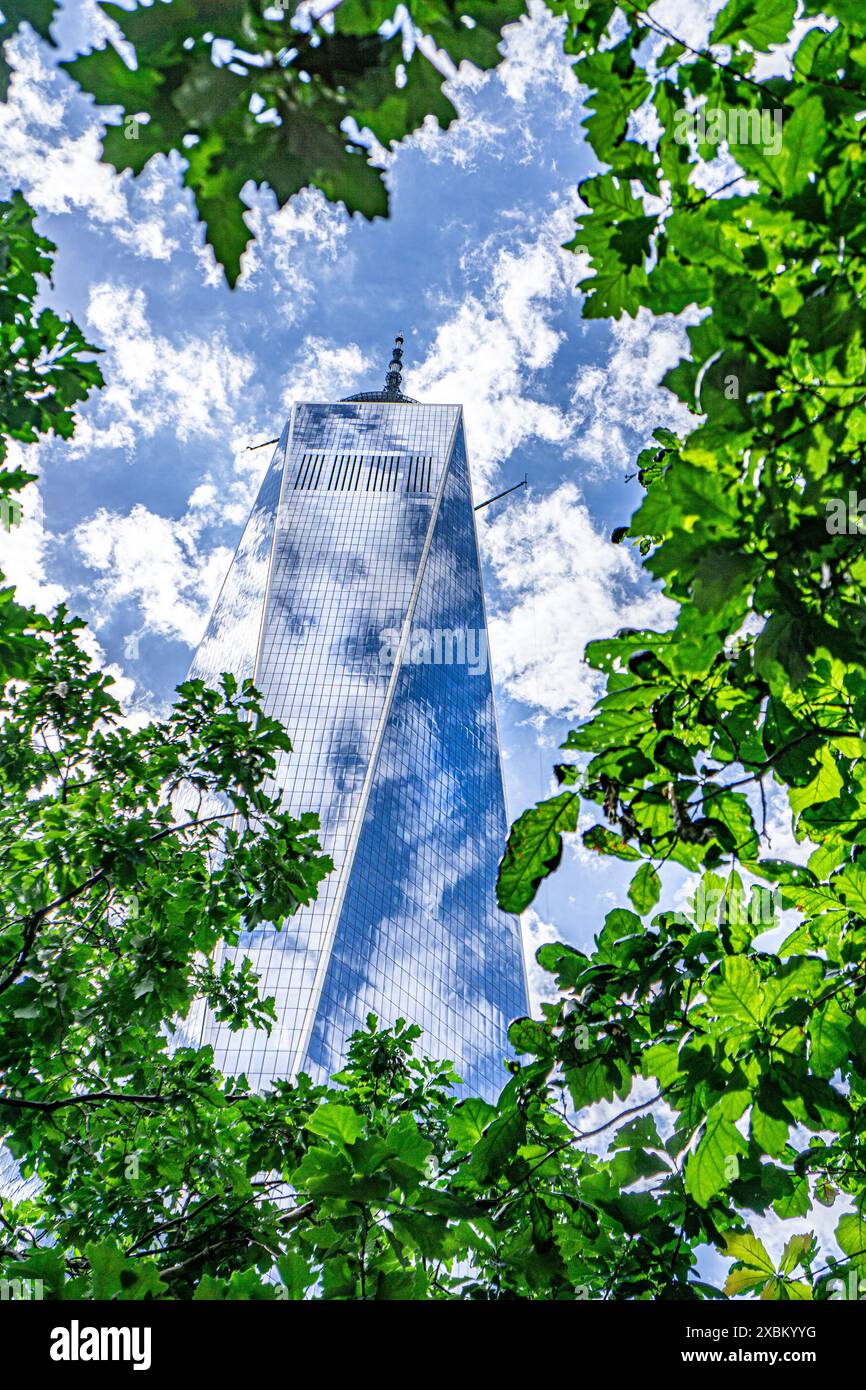 One World Trade Center, vista ad angolo basso, edificio esterno circondato da alberi contro nuvole e cielo blu, New York City, New York, USA Foto Stock