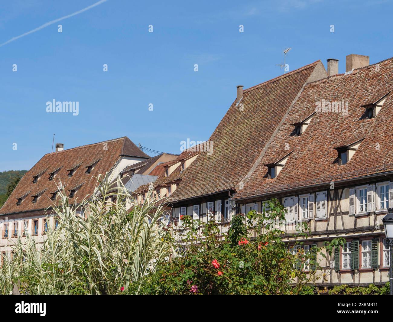 Case tradizionali con tetti ripidi e vegetazione circostante sotto un cielo blu, Wissembourg, Alsazia, Francia Foto Stock