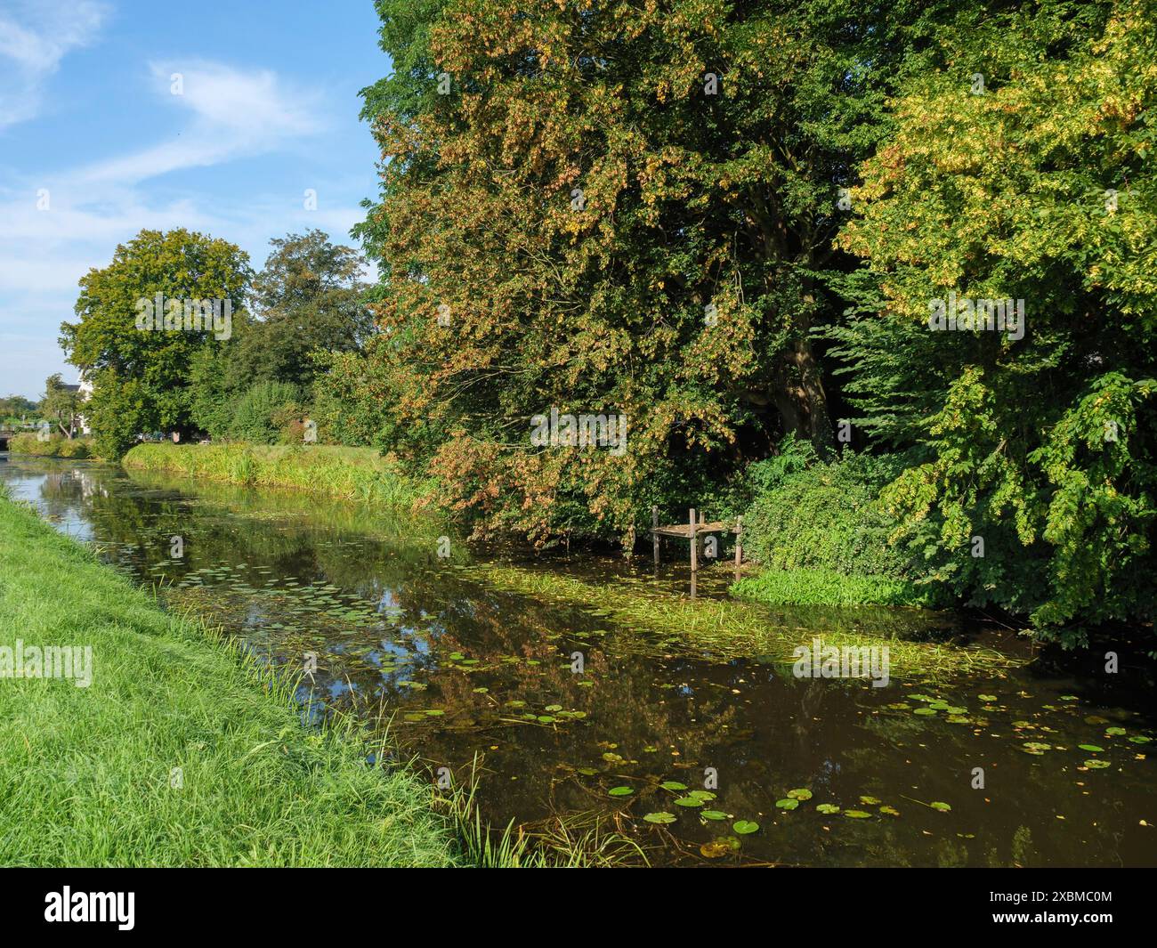 Un canale con alberi e molta vegetazione verde in un ambiente tranquillo, marienthal, vestfalia, germania Foto Stock