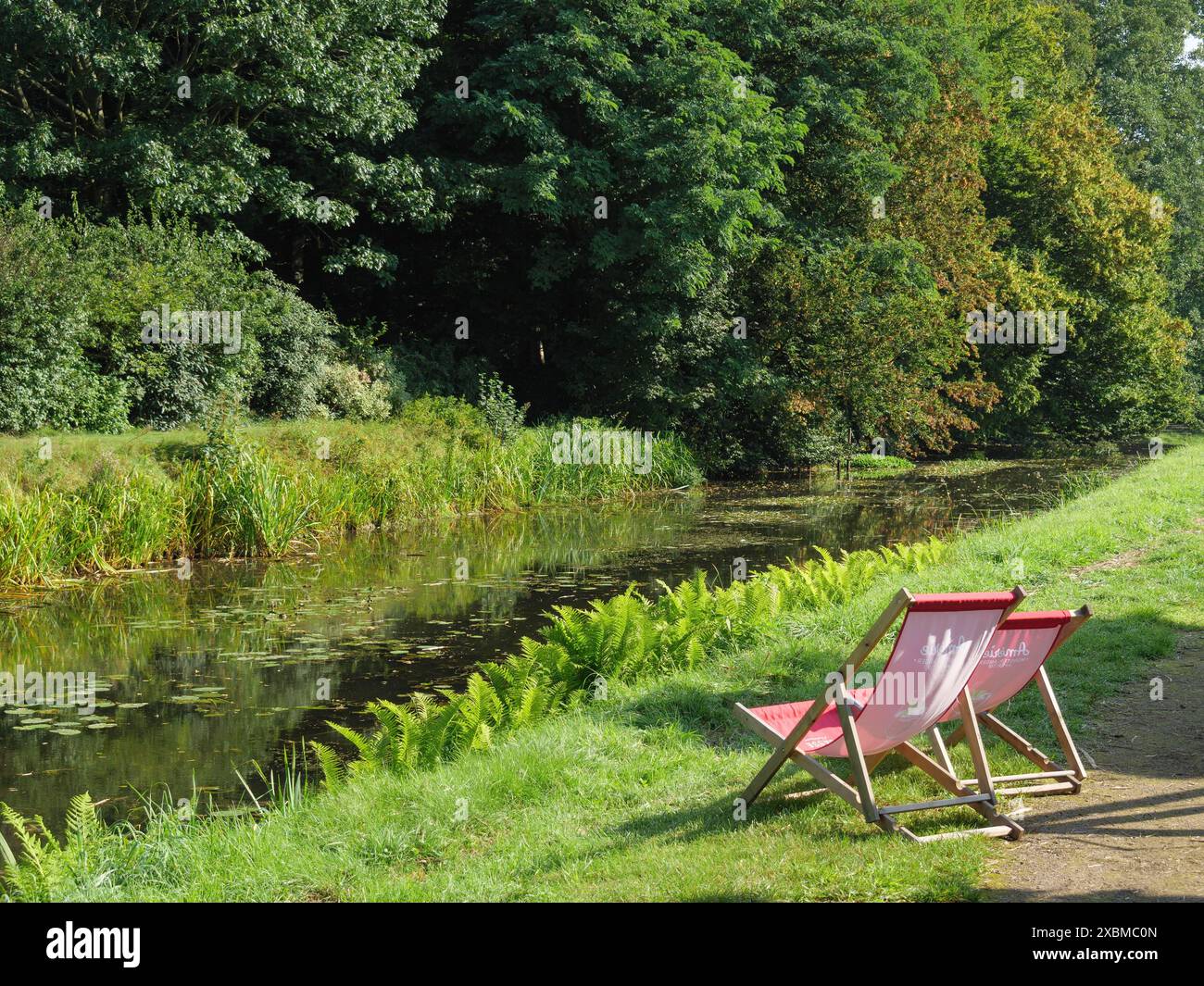 Due sedie a sdraio rosse sorgono sulle rive di un fiume tranquillo, circondato da una foresta lussureggiante e piante verdi, marienthal, vestfalia, germania Foto Stock