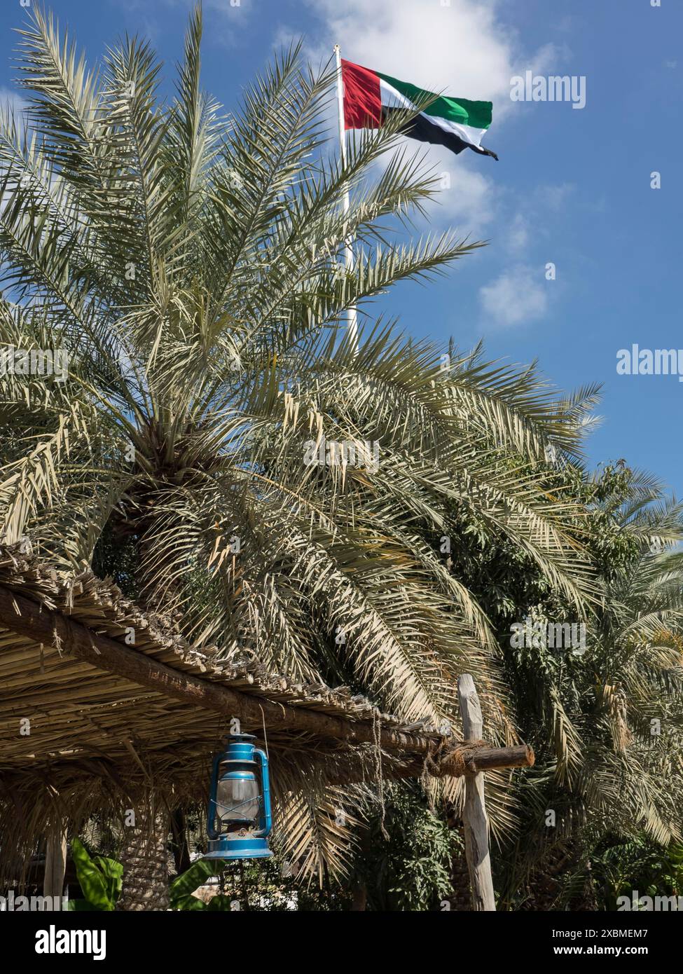 Palma e bandiera che sventolano nel vento, lampada appesa sotto un tetto di fronde di palme, abu dhabi, emirati arabi uniti Foto Stock