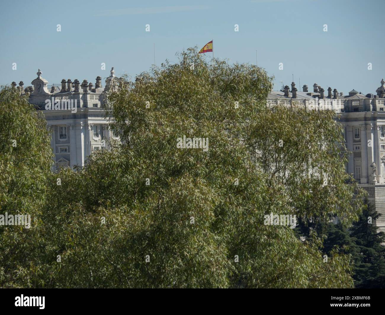 Immagine di un edificio storico, parzialmente oscurato da un grande albero, con una bandiera sul tetto, Madrid, Spagna Foto Stock