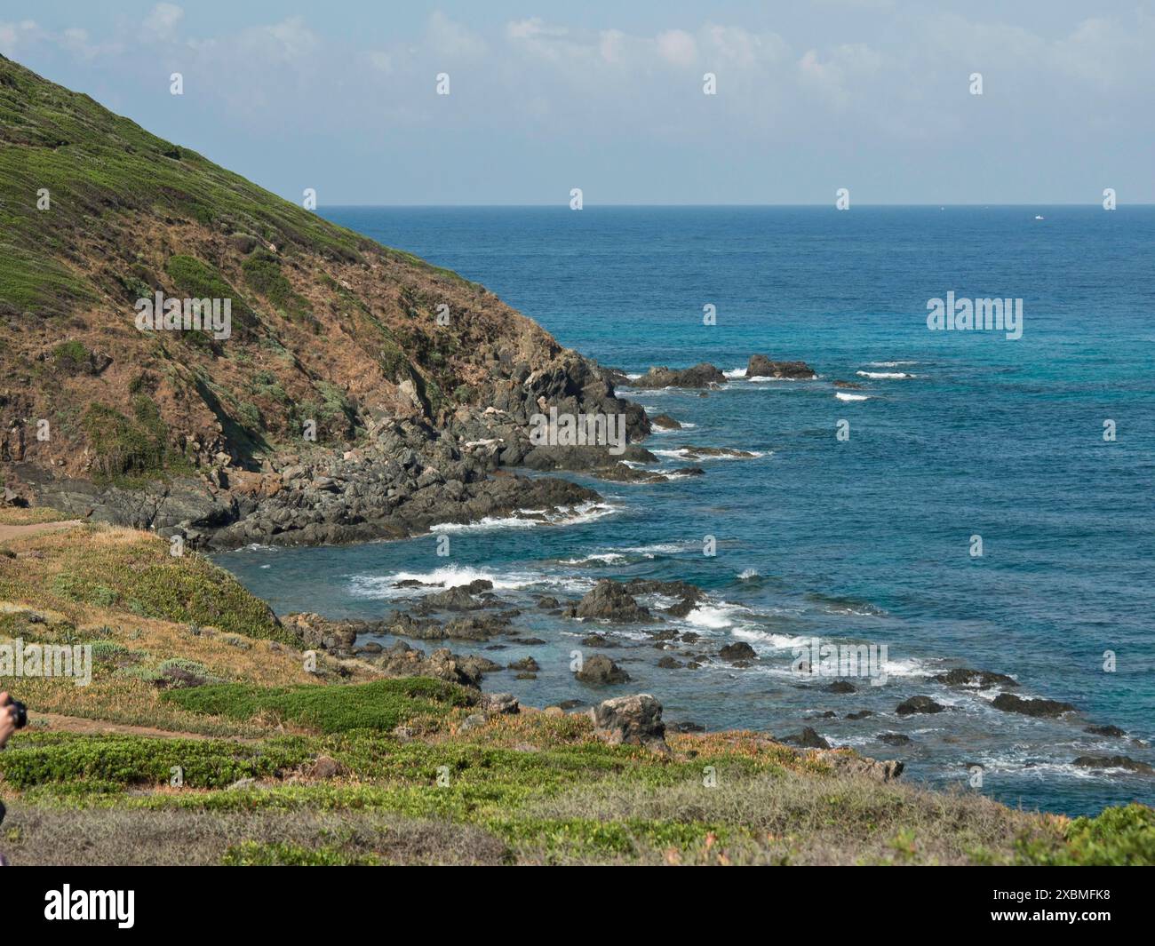 Ripida costa con verdi pendii e onde, il mare si estende sotto un cielo azzurro limpido, ajaccio, corsica, francia Foto Stock