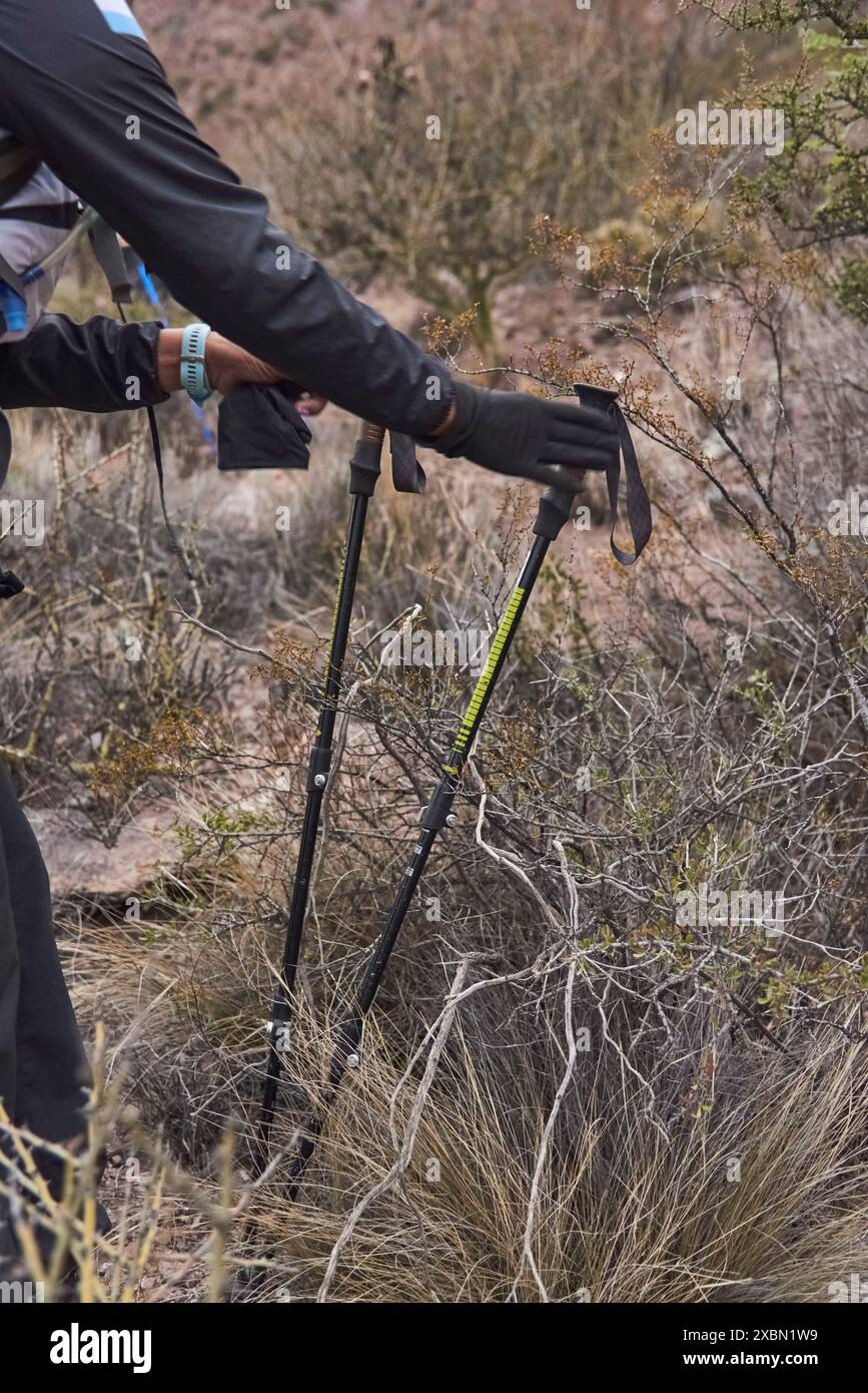 Persona irriconoscibile con pali da trekking nella natura selvaggia. Concetti: Sport di montagna, svago nella natura. Foto Stock