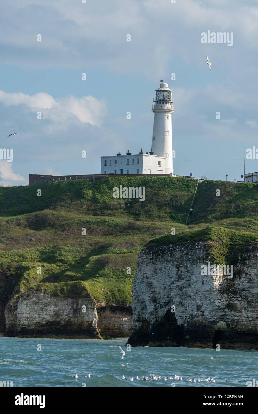 Faro di Flamborough Head, un punto di riferimento sulla costa del promontorio di Flamborough nell'East Yorkshire, Inghilterra, Regno Unito Foto Stock Faro di Flamborough Head, un punto di riferimento sulla costa del promontorio di Flamborough nell'East Yorkshire, Inghilterra, Regno Unito Foto Stock