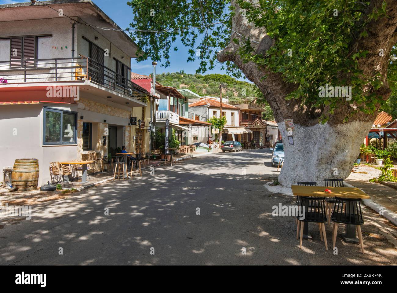 Enorme vecchio platano sulla strada nel villaggio di Stylos, sui monti Lefka Ori, vicino a Hania, Creta occidentale, Grecia Foto Stock