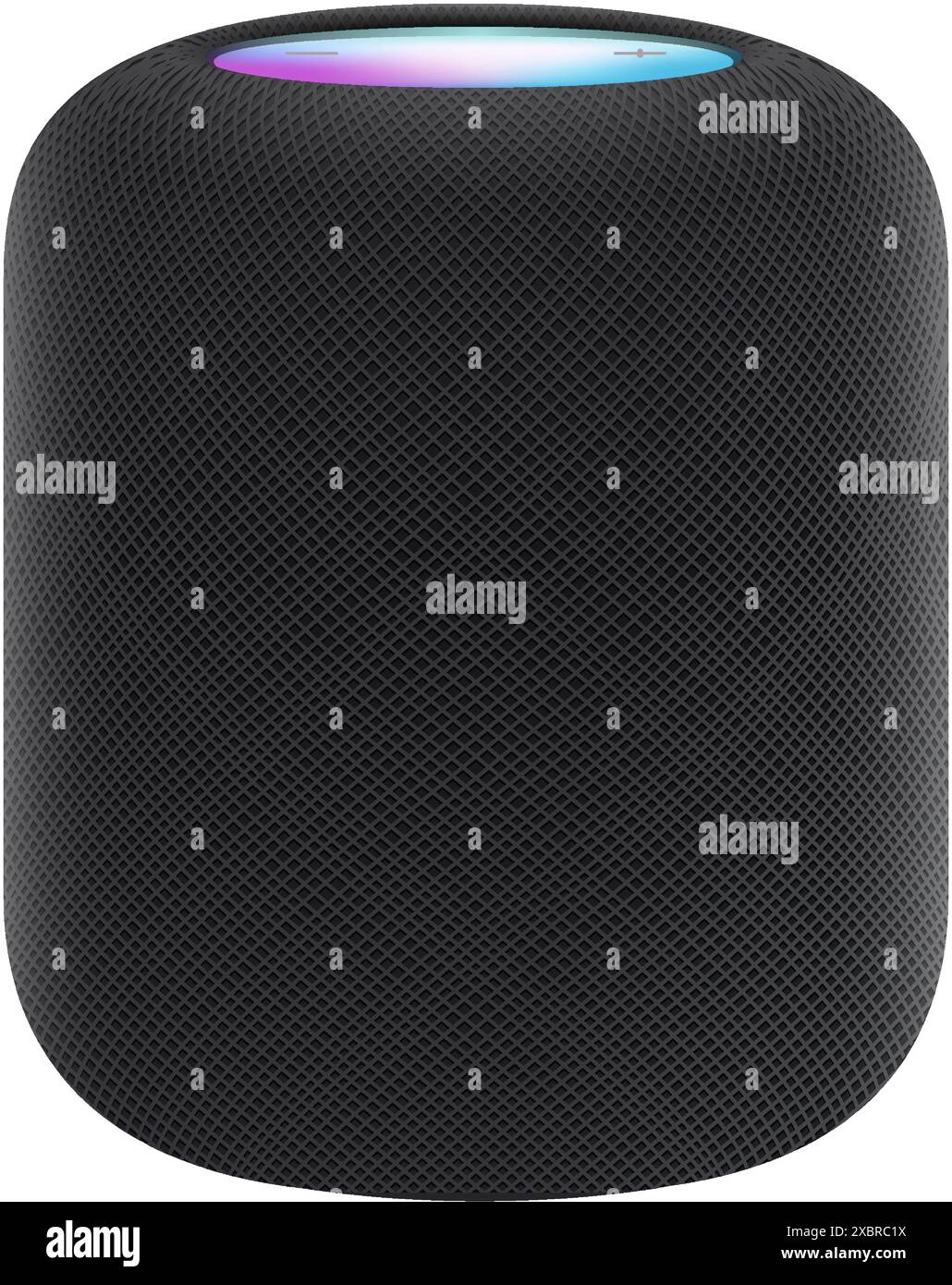 Apple HomePod di colore nero, isolato su sfondo bianco, illustrazione vettoriale. HomePod è un diffusore intelligente sviluppato da Apple Inc Illustrazione Vettoriale