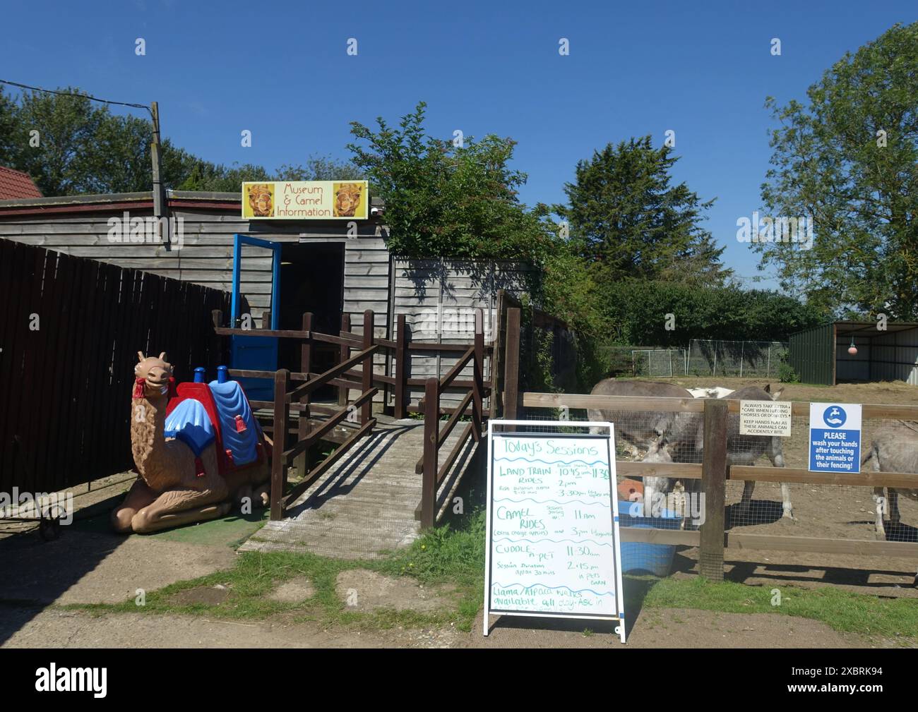 Camel Park Oasis, Halesworth, Suffolk, Inghilterra Foto Stock