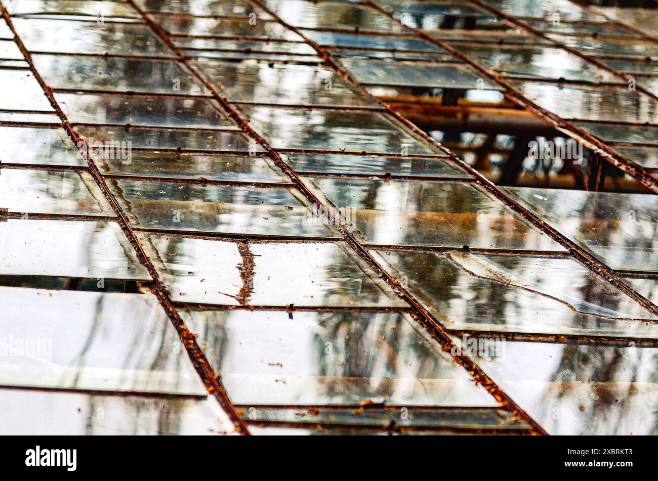 Vetro lucido su una serra abbandonata. Sporca copertura della vecchia serra Foto Stock