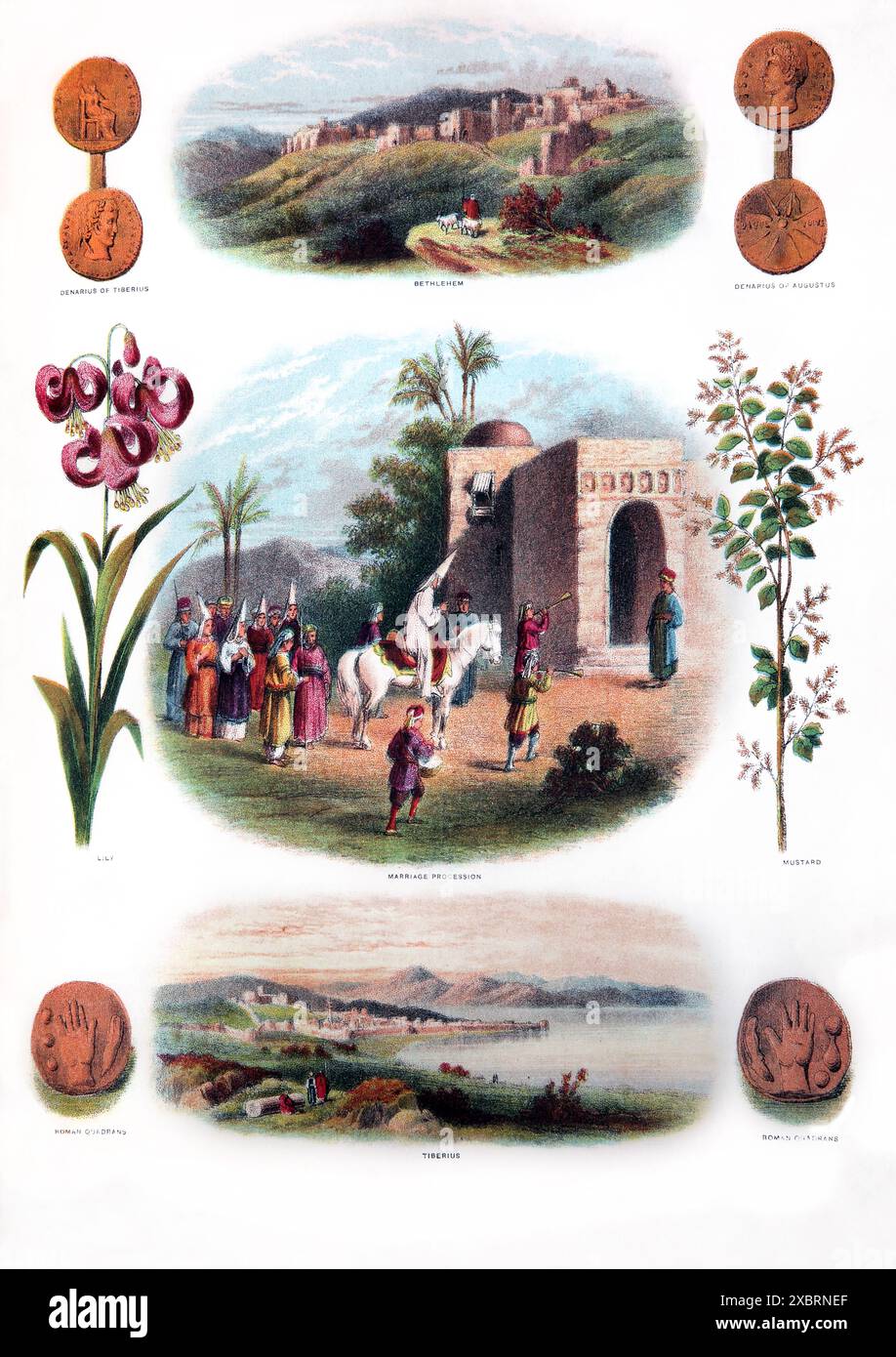 Pagina da Antica famiglia autointerpretante di Brown del XIX secolo con illustrazioni del nuovo Testamento di Processione matrimoniale, Tiberio, Betlemme, Qu romano Foto Stock