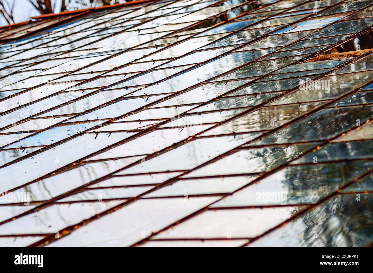 Vetro lucido su una serra abbandonata. Sporca copertura della vecchia serra Foto Stock