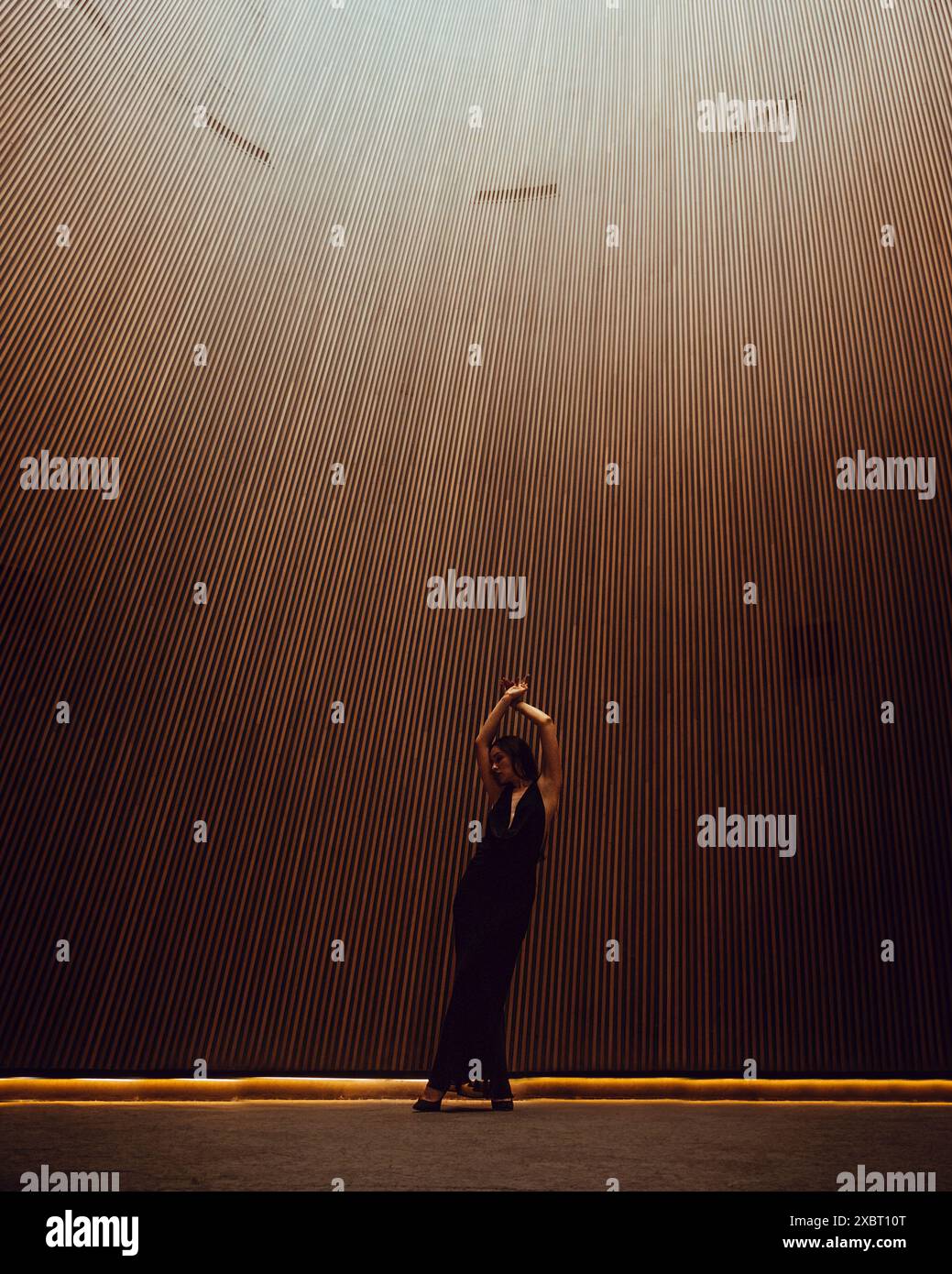 Bella donna Black Dress Foto Stock