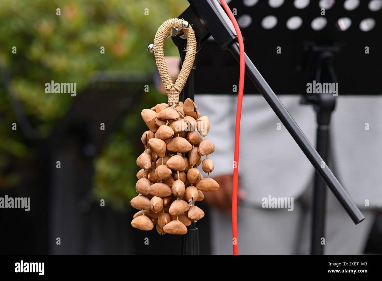 Kenari Shaker, uno strumento musicale a percussione realizzato con gusci di semi Kenari attaccati a un cinturino da polso Foto Stock