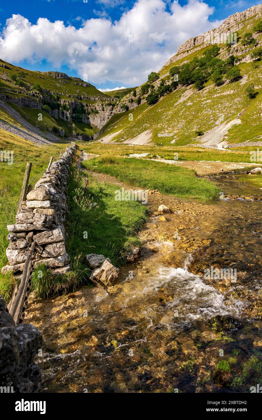 Gordale Scar North Yorkshire. Il nord ovest dell'Inghilterra. Yorkshire Dales National Park. YDNP. Foto Stock