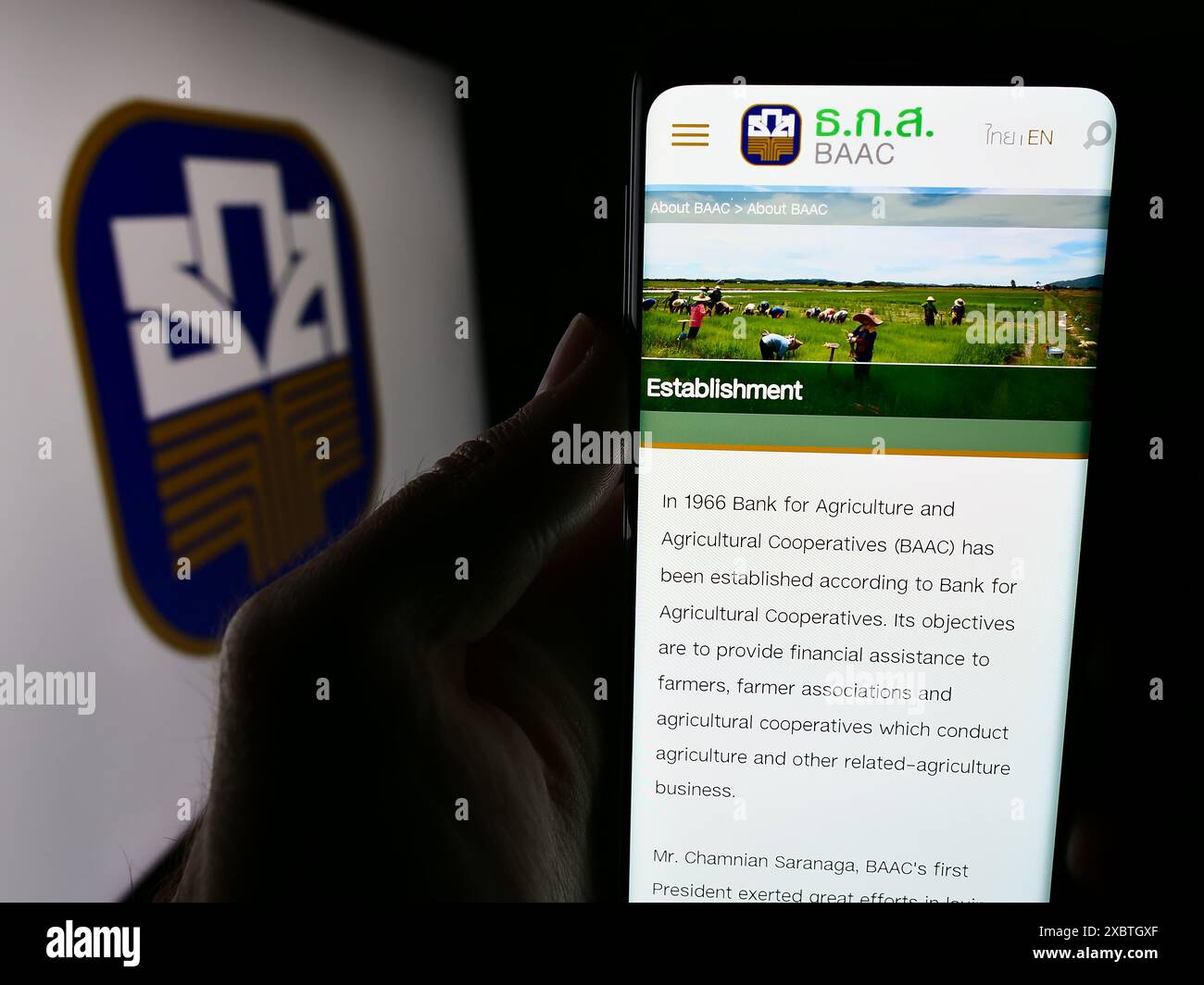 Persona che detiene lo smartphone con il sito web della Banca delle cooperative agricole e agricole (BAAC) con il logo. Messa a fuoco al centro del display del telefono. Foto Stock