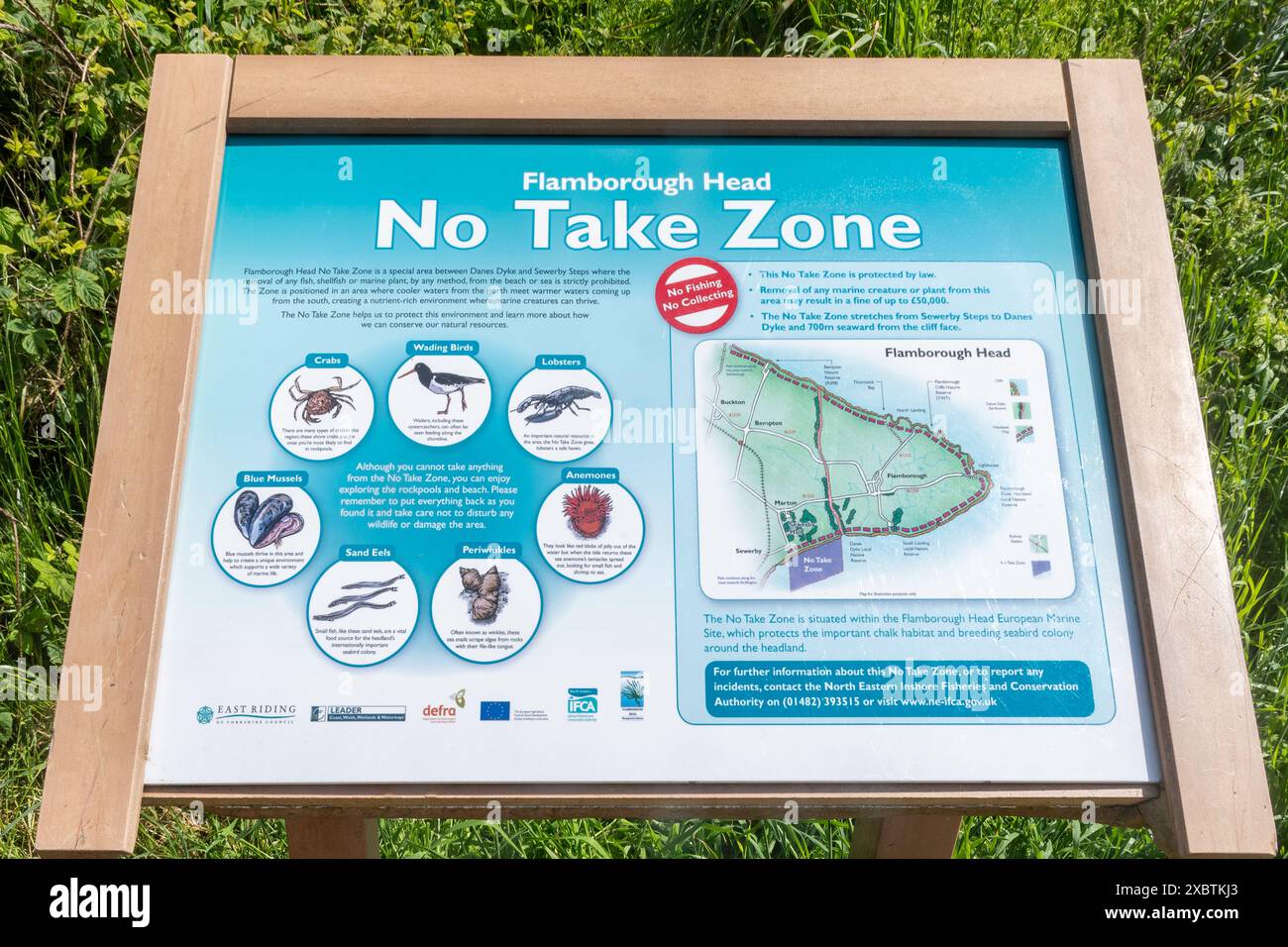 No cartello Take zone o tabellone informativo a Flamborough Head, East Yorkshire, Inghilterra, Regno Unito. Zona speciale in cui è vietata la rimozione di pesci o animali selvatici Foto Stock