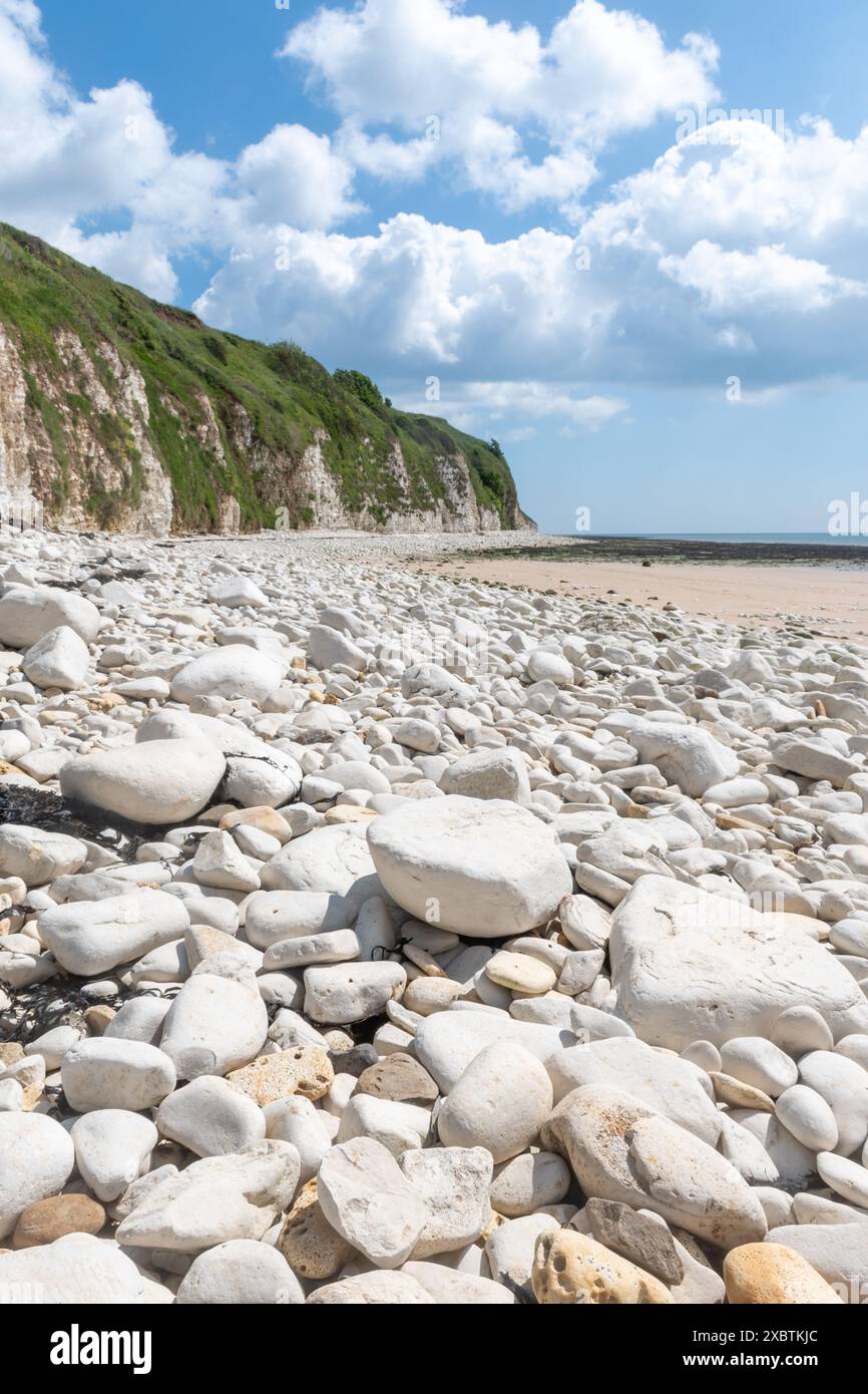 Danes Dyke Beach e riserva naturale sul Flamborough Headland vicino a Bridlington, East Yorkshire, Inghilterra, Regno Unito, in un giorno di sole giugno Foto Stock