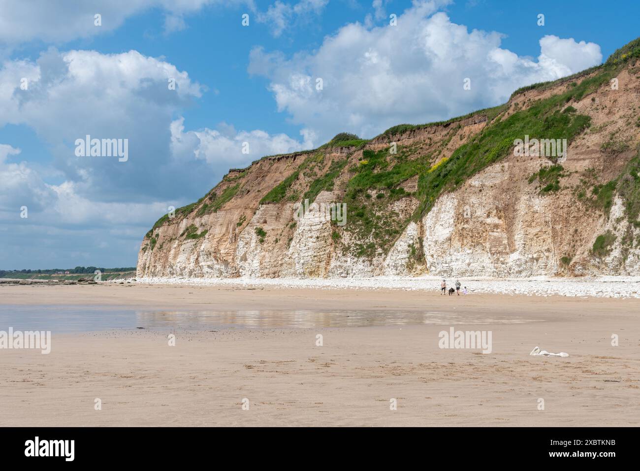 Danes Dyke Beach e riserva naturale sul Flamborough Headland vicino a Bridlington, East Yorkshire, Inghilterra, Regno Unito, in un giorno di sole giugno Foto Stock