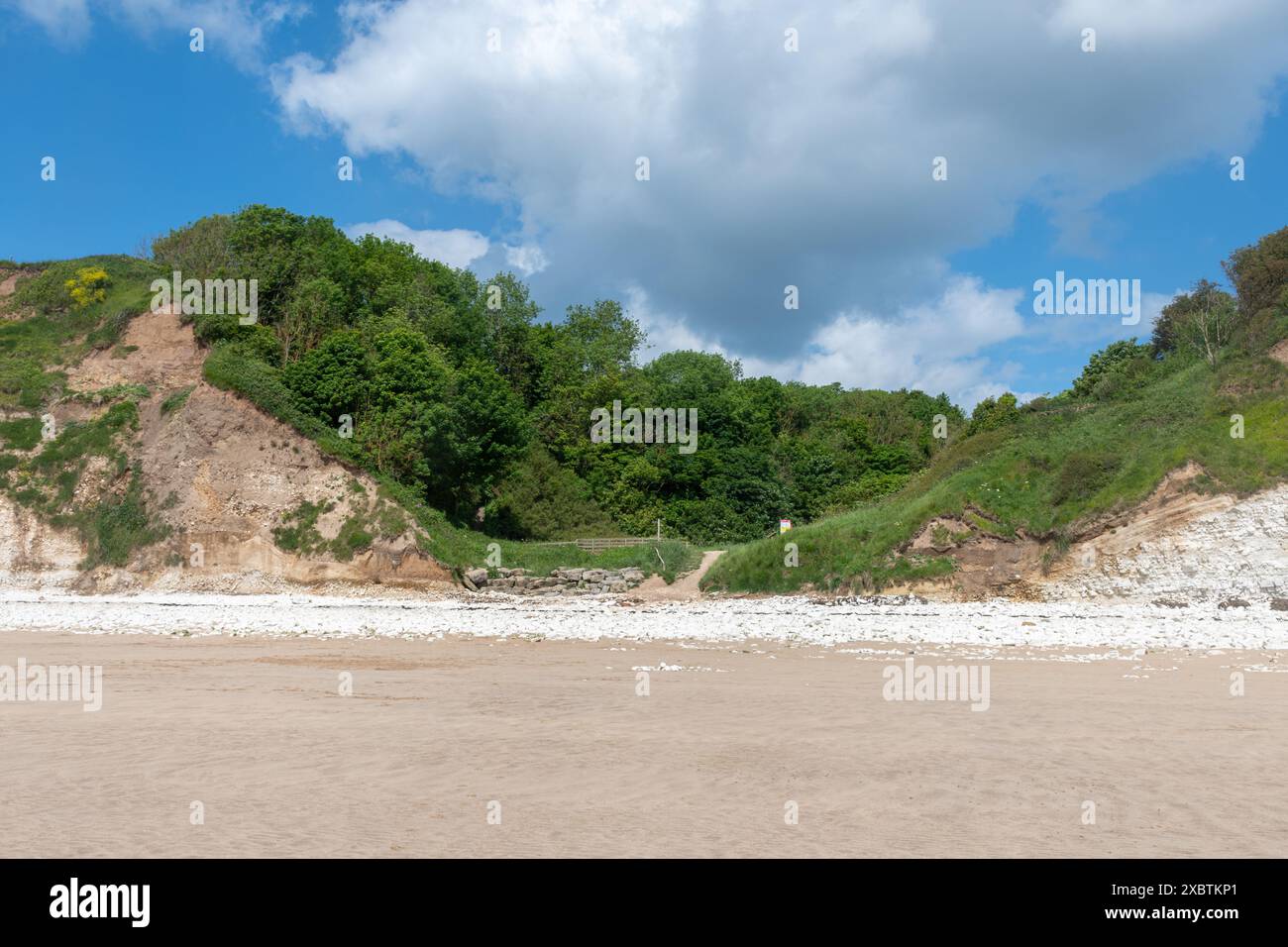 Danes Dyke Beach e riserva naturale sul Flamborough Headland vicino a Bridlington, East Yorkshire, Inghilterra, Regno Unito, in un giorno di sole giugno Foto Stock
