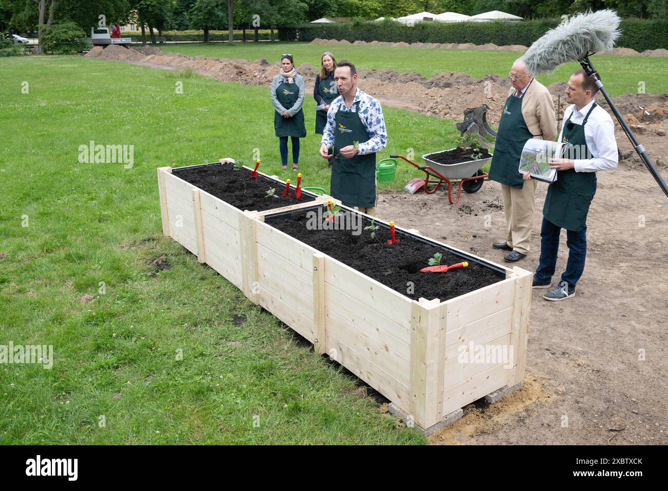 13 giugno 2024, Sassonia, Dresda: Jan Weber (M), dipendente del progetto, si trova di fronte a un letto rialzato nel parco Großer Garten, sul sito di un futuro vivaio di alberi. Un vivaio di alberi è stato gestito su un sito di circa 5.000 metri quadrati fino alla seconda guerra mondiale e ora è stato ripreso. Foto: Sebastian Kahnert/dpa Foto Stock