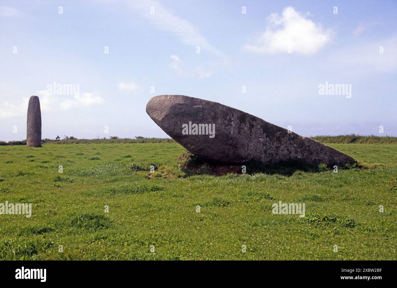 ein stehender und liegender Menhir bei Kergadiou in Grüner Wiese * il menhir di Kargadiou, Bretagna Foto Stock