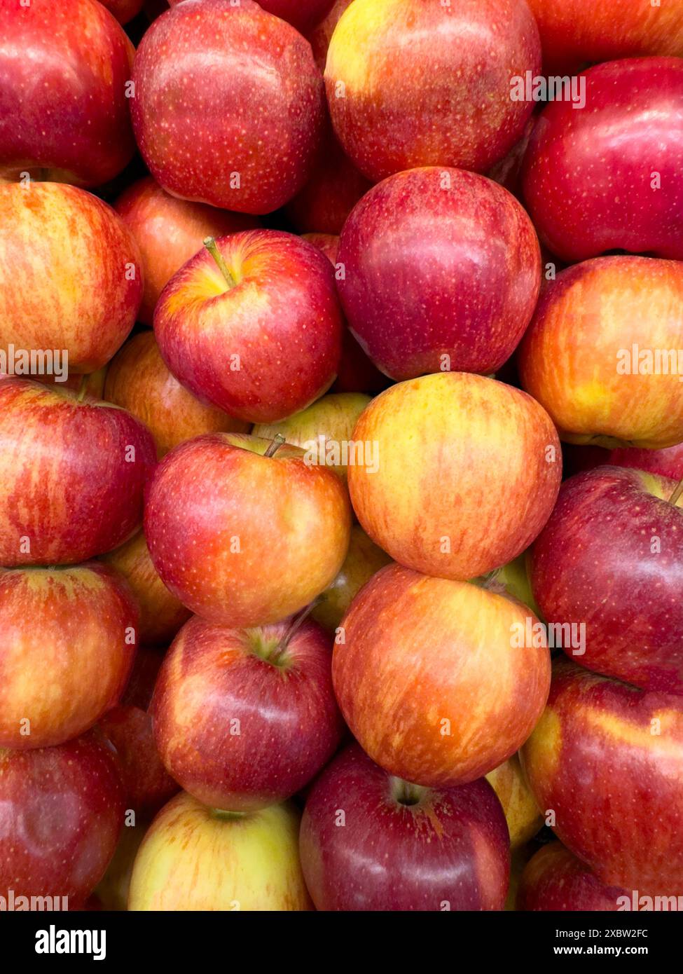 Sfondo piatto con mele di colore rosso e giallo vista ravvicinata Foto Stock