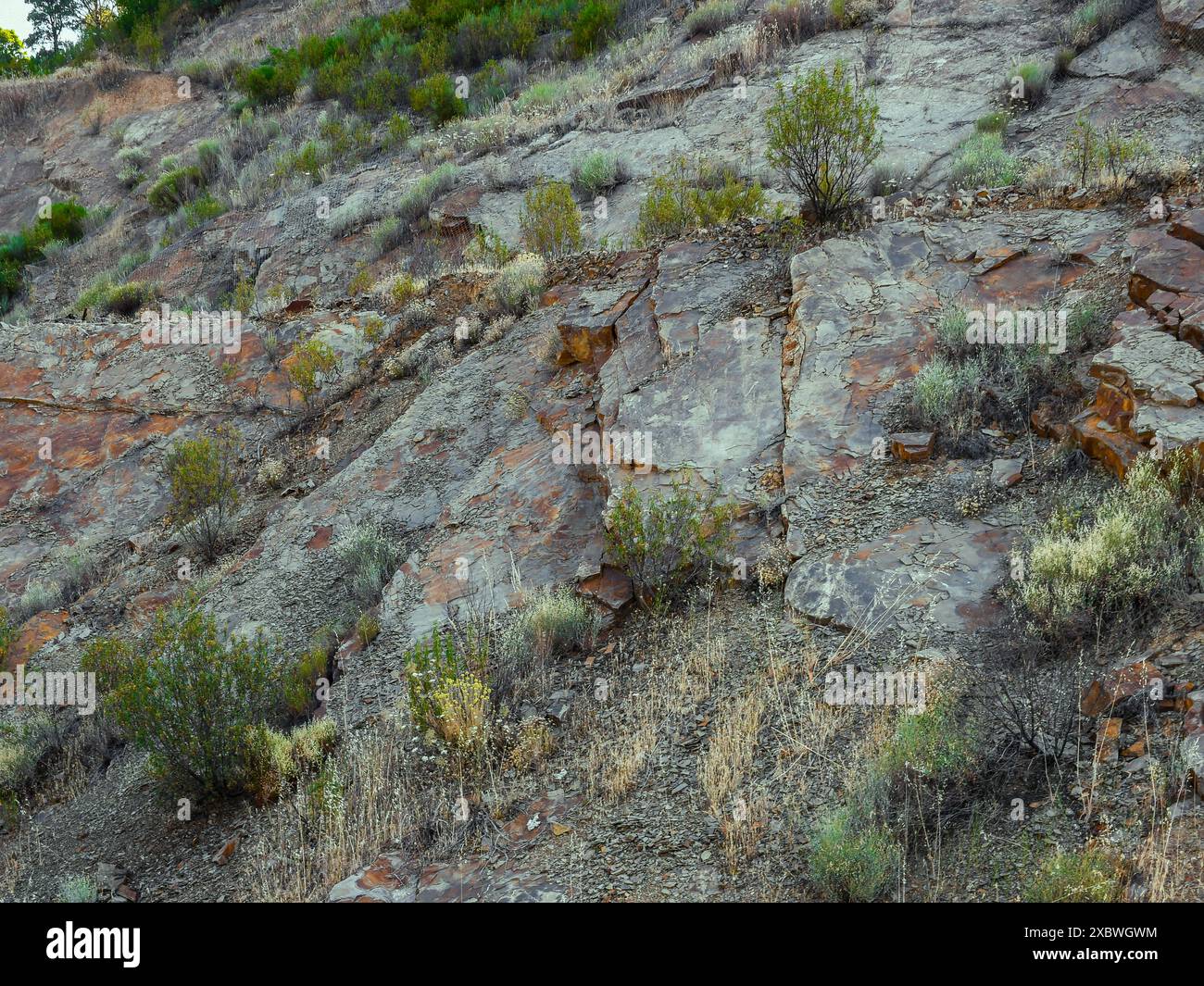 Pendii montuosi nella Sierra Madrona, vicino a Fuencaliente, provincia di Ciudad Real, Spagna Foto Stock