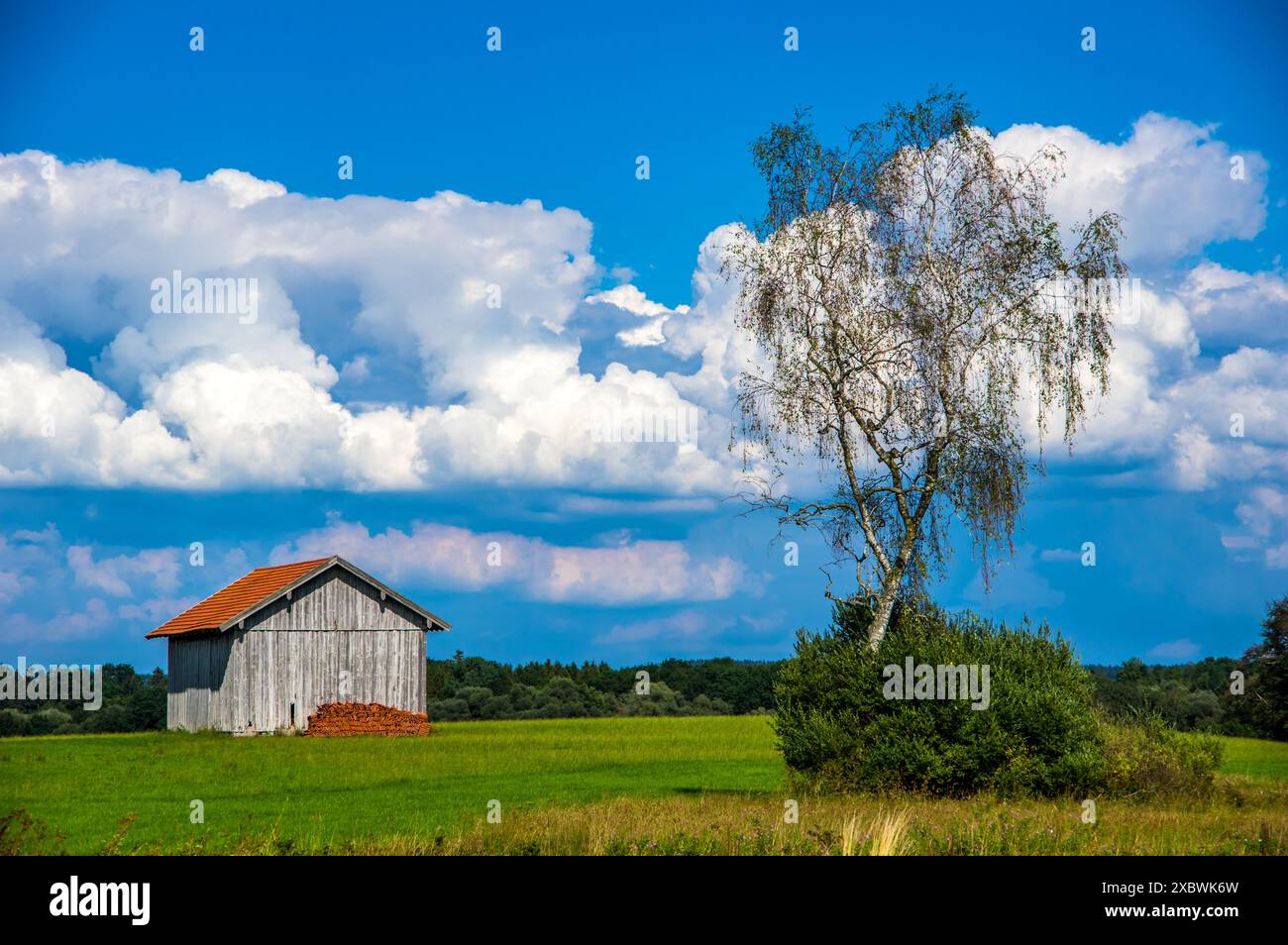 paesaggio, albero, nuvole, nuvole, baviera, all'aperto, cielo, estate, verde, prato, prati, fattoria, campagna, caldo, mattina Foto Stock