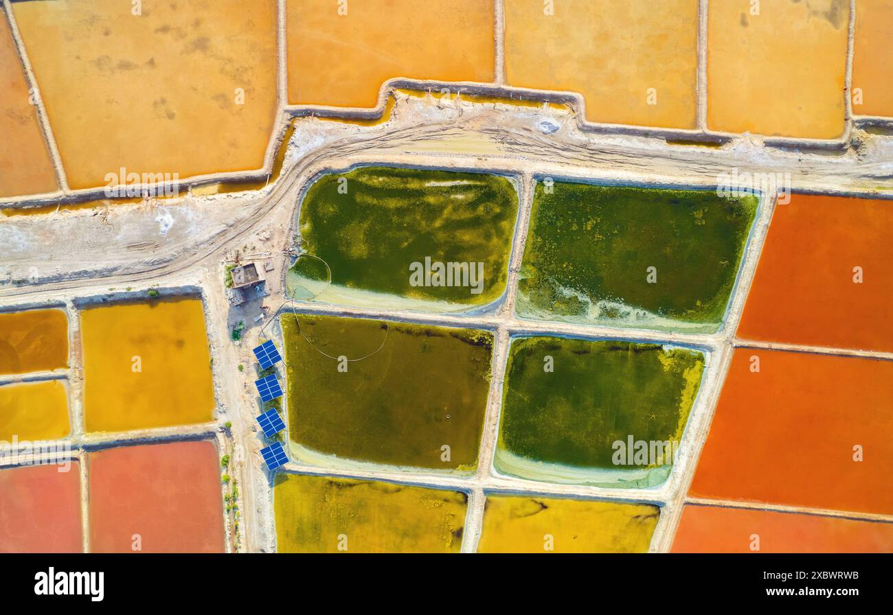 Questa è una foto in alto di una salina vicino a Pushkar, dove vari colori possono essere visti sulla salina dall'alto, somigliando a una tavolozza di colori completa. Foto Stock