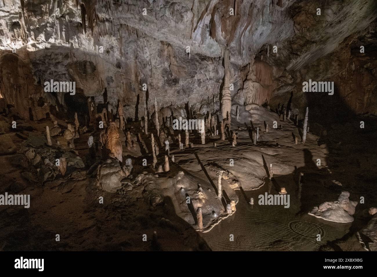 Grotta di Postumia (Postojnska Jama). Interno delle grotte. Slovenia Foto Stock