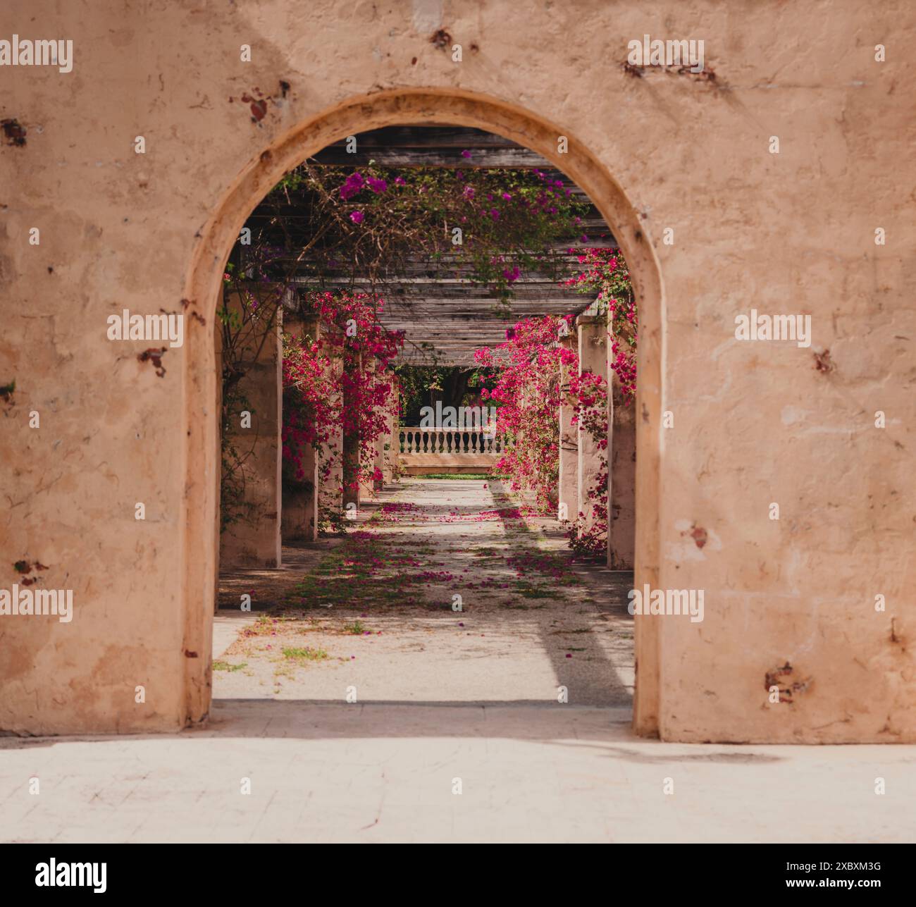 Ingresso ad arco che conduce ad una pergola ricoperta di fiori in un giardino storico. Foto Stock