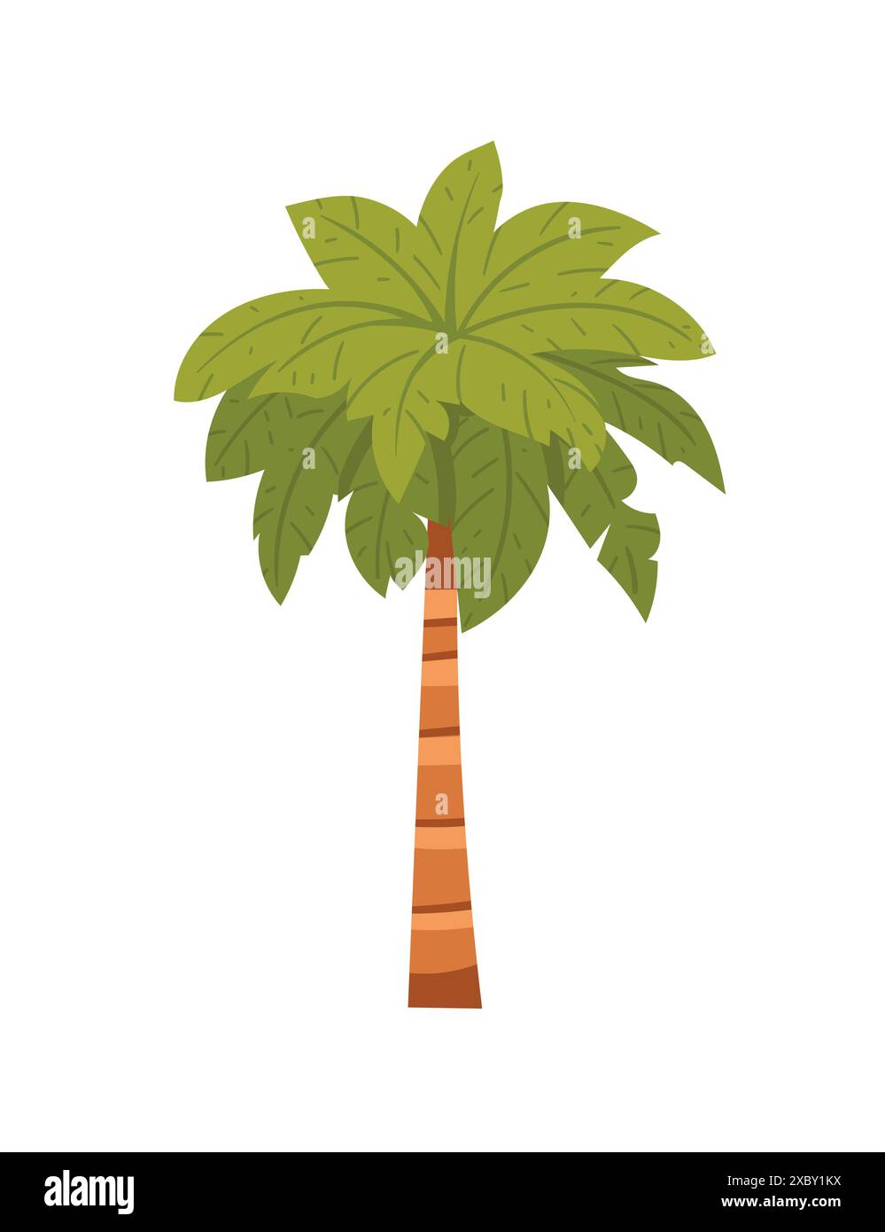 Palma verde tropicale con foglie semplice disegno del cartone animato illustrazione vettoriale isolata su sfondo bianco Illustrazione Vettoriale