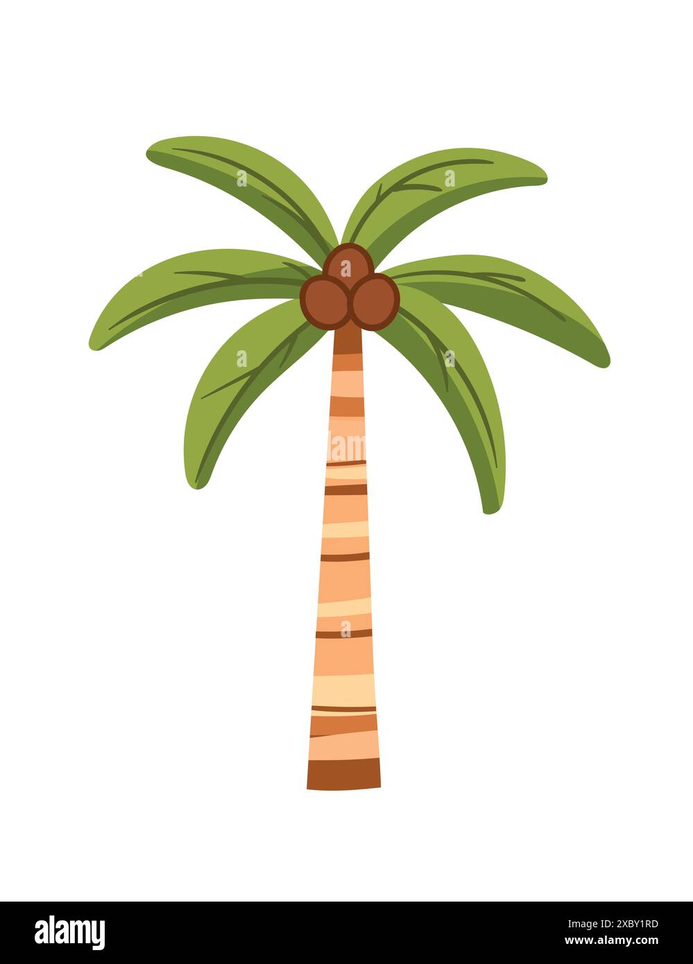 Palma verde tropicale con foglie semplice disegno del cartone animato illustrazione vettoriale isolata su sfondo bianco Illustrazione Vettoriale