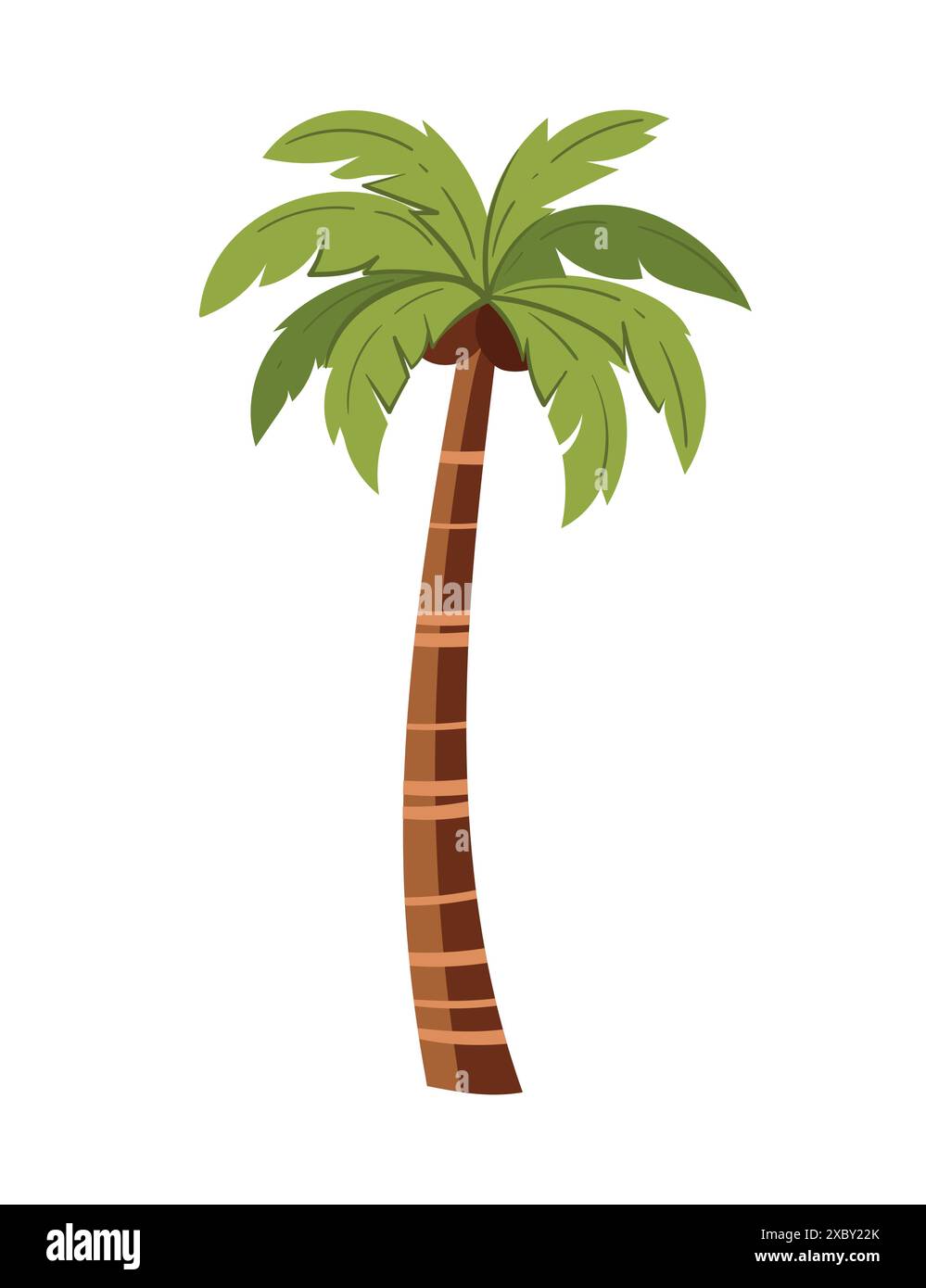 Palma verde tropicale con foglie semplice disegno del cartone animato illustrazione vettoriale isolata su sfondo bianco Illustrazione Vettoriale