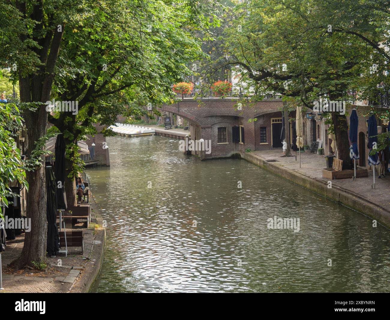 Tranquillo canale circondato da alberi ed edifici, un'atmosfera estiva rilassata, utrecht, Paesi Bassi Foto Stock