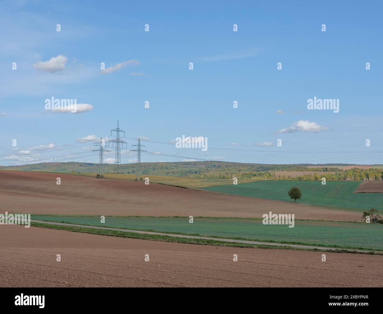 Ampi campi con alcuni piloni elettrici e una foresta collinare sullo sfondo, Waldeck, Assia, Germania Foto Stock