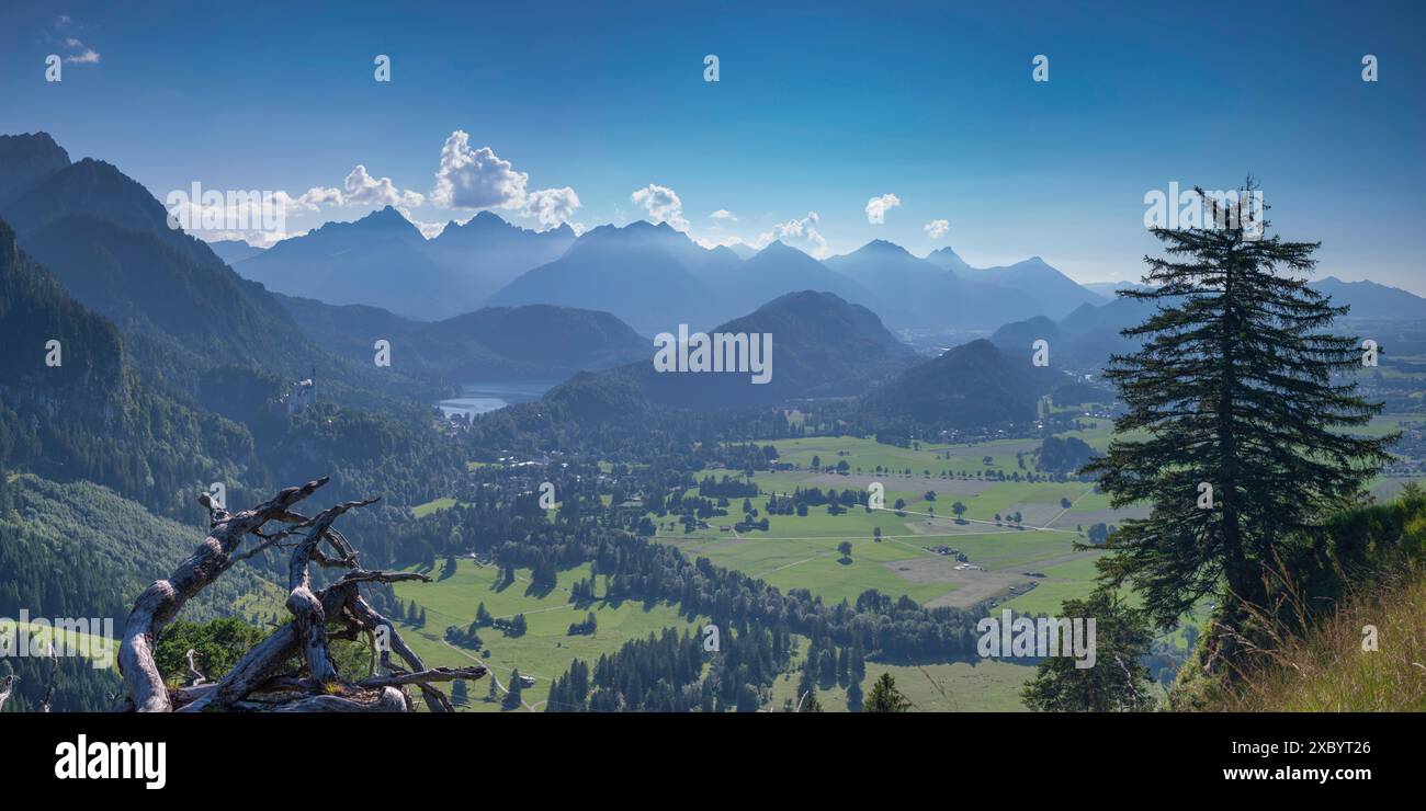 Castello di Neuschwanstein, Hohenschwangau nei pressi di Fuessen, Ostallgaeu, Allgaeu, Baviera, Germania Foto Stock