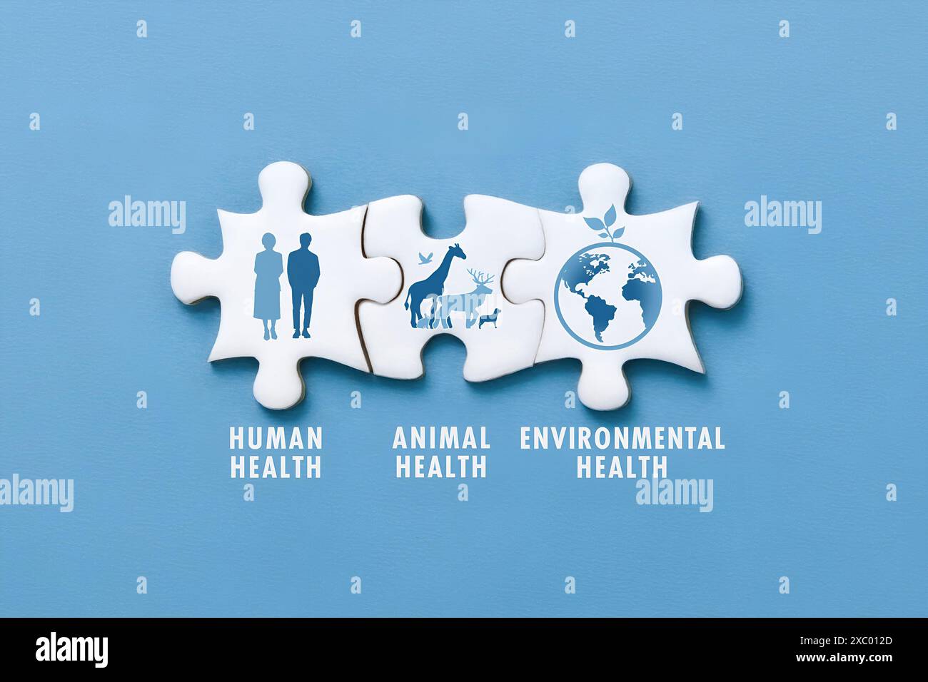 Puzzle puzzle pezzi su sfondo blu con icona, le parole simboleggiano l'interconnessione della salute umana, della salute animale e della salute ambientale Foto Stock