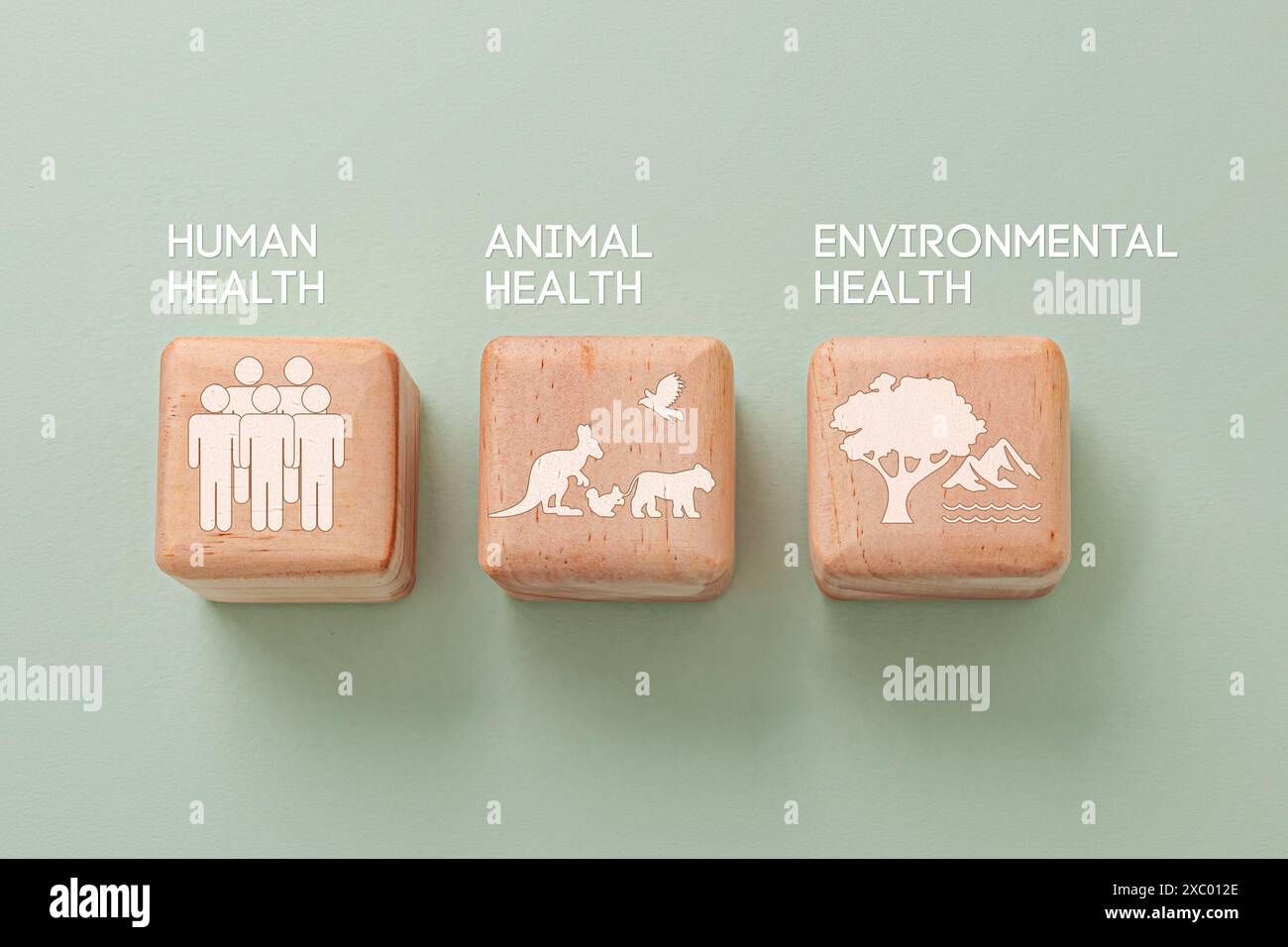 Cubo di legno su sfondo verde con icona e le parole simboleggiano l'interconnessione tra salute umana, salute animale e salute ambientale Foto Stock