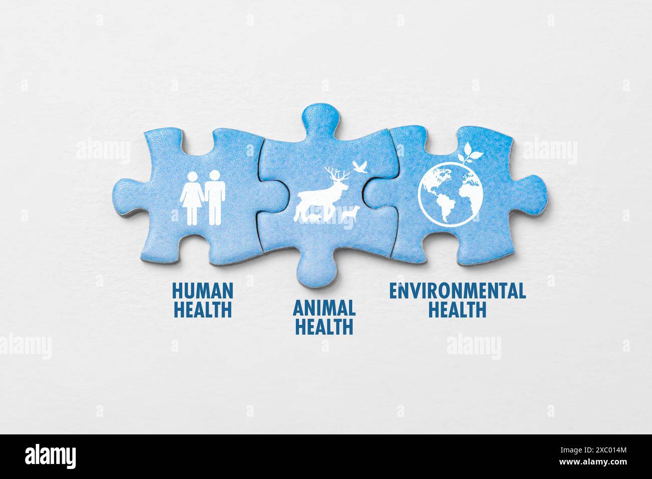 Puzzle puzzle pezzi su sfondo bianco con icona, le parole simboleggiano l'interconnessione della salute umana, della salute animale e della salute ambientale. Foto Stock