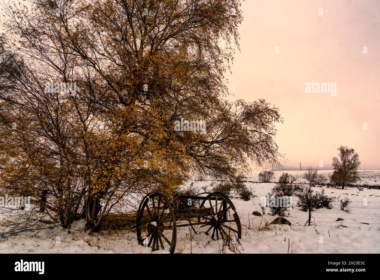 Forte caduta di neve sui campi agricoli di Tekapo, nuova Zelanda Foto Stock