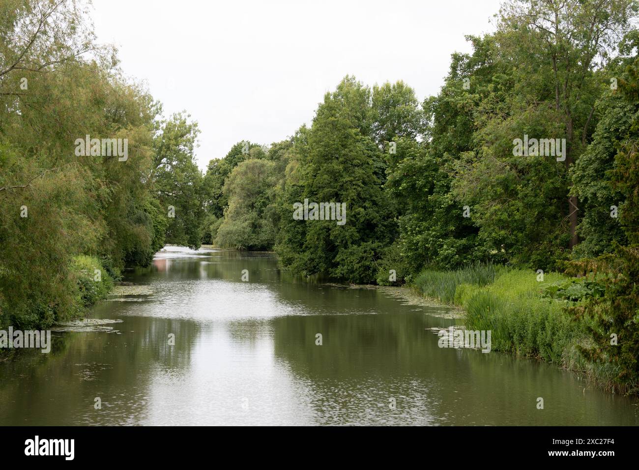 Il fiume Leam visto dal ponte Willes Road in estate, Leamington Spa, Warwickshire, Inghilterra, Regno Unito Foto Stock