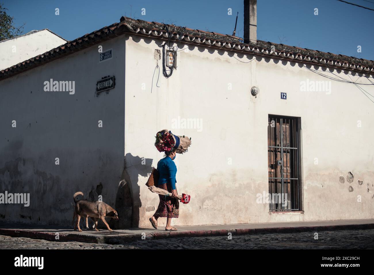 venditore di fiori che cammina lungo la strada con un cane Foto Stock