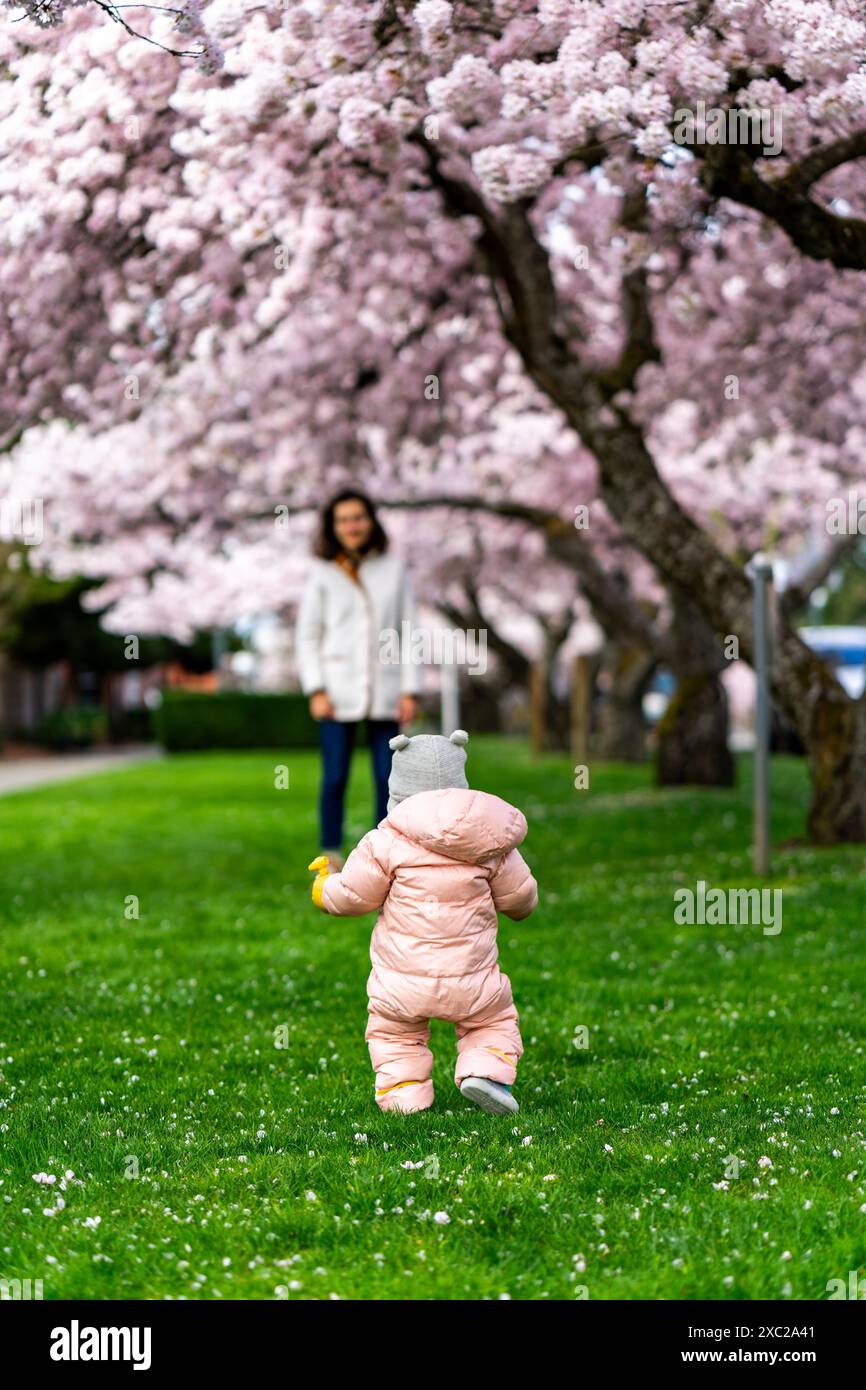 La bambina sta camminando verso sua madre sotto i ciliegi Foto Stock