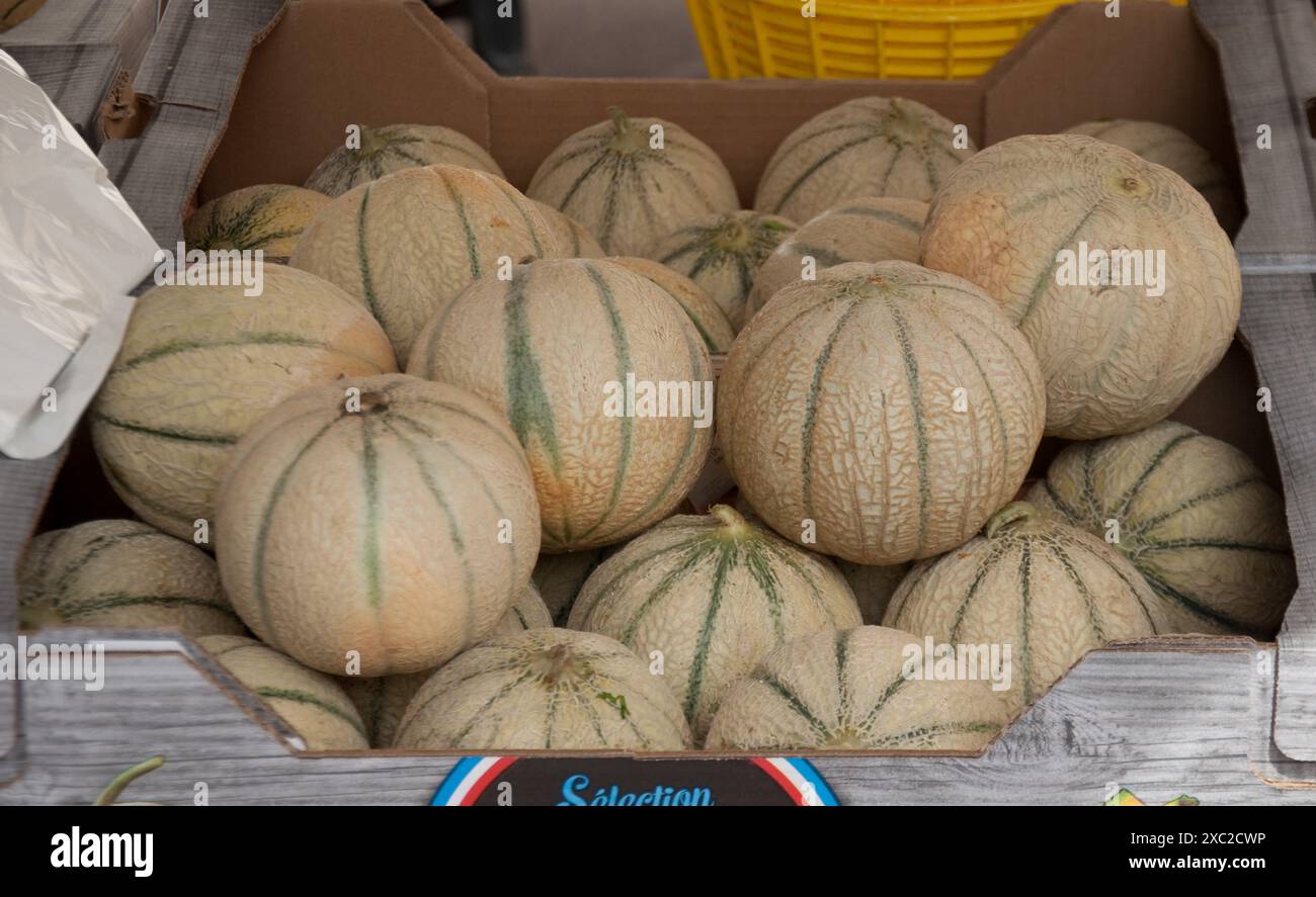 Meloni, banchi di mercato, Chauffailles, dipartimento Saône-et-Loire; Bourgogne-Franca Contea; Francia orientale Foto Stock
