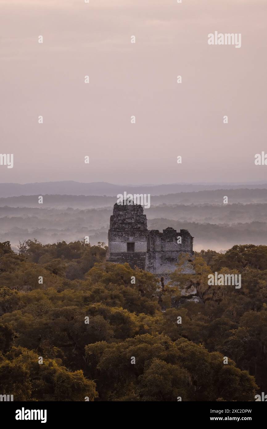 Vista delle rovine di Tikal in Guatemala durante l'alba Foto Stock