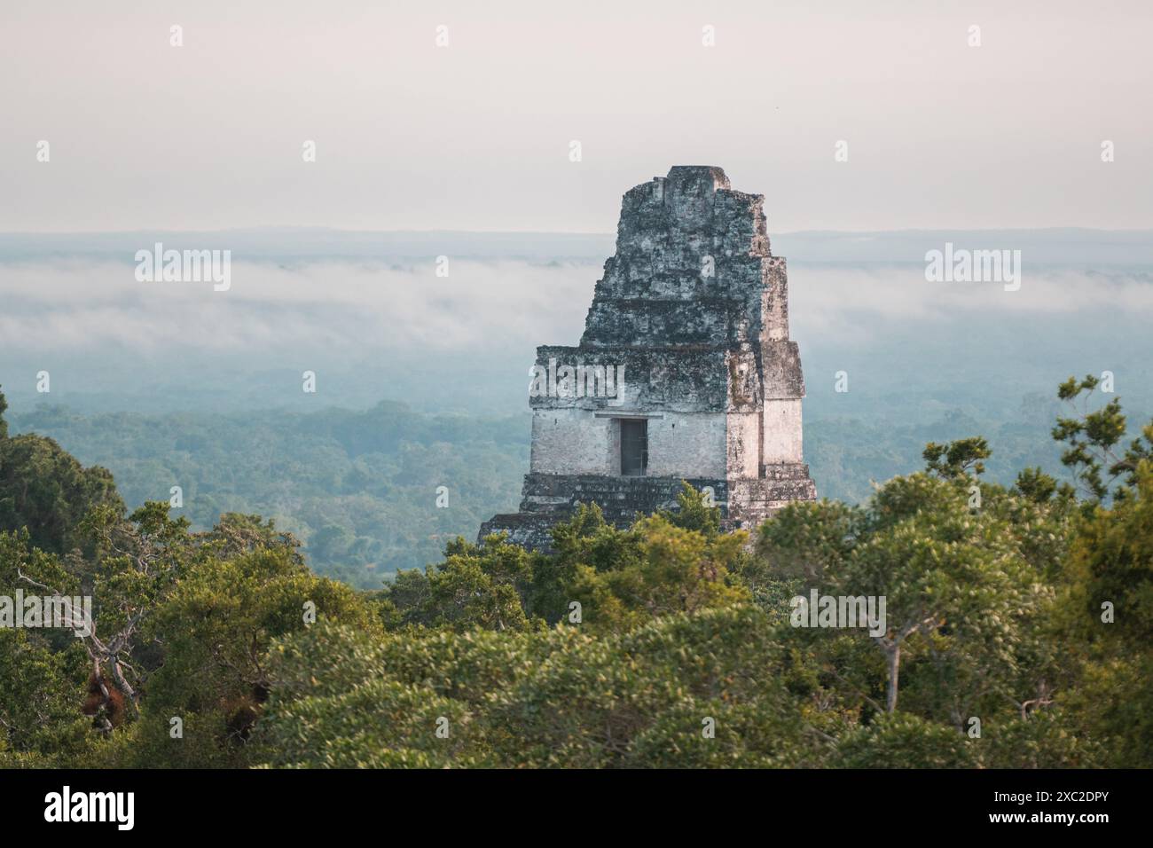 Vista delle rovine di Tikal in Guatemala durante l'alba Foto Stock