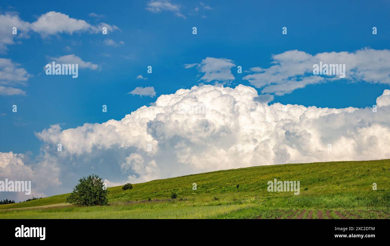 Campi estivi e grandi nubi di cumulus, area montuosa Foto Stock